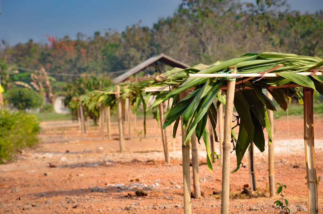 Go Green and Make New Friends: Eco-Conscious Group Travel Trends fo… — Go Green and Make New Friends