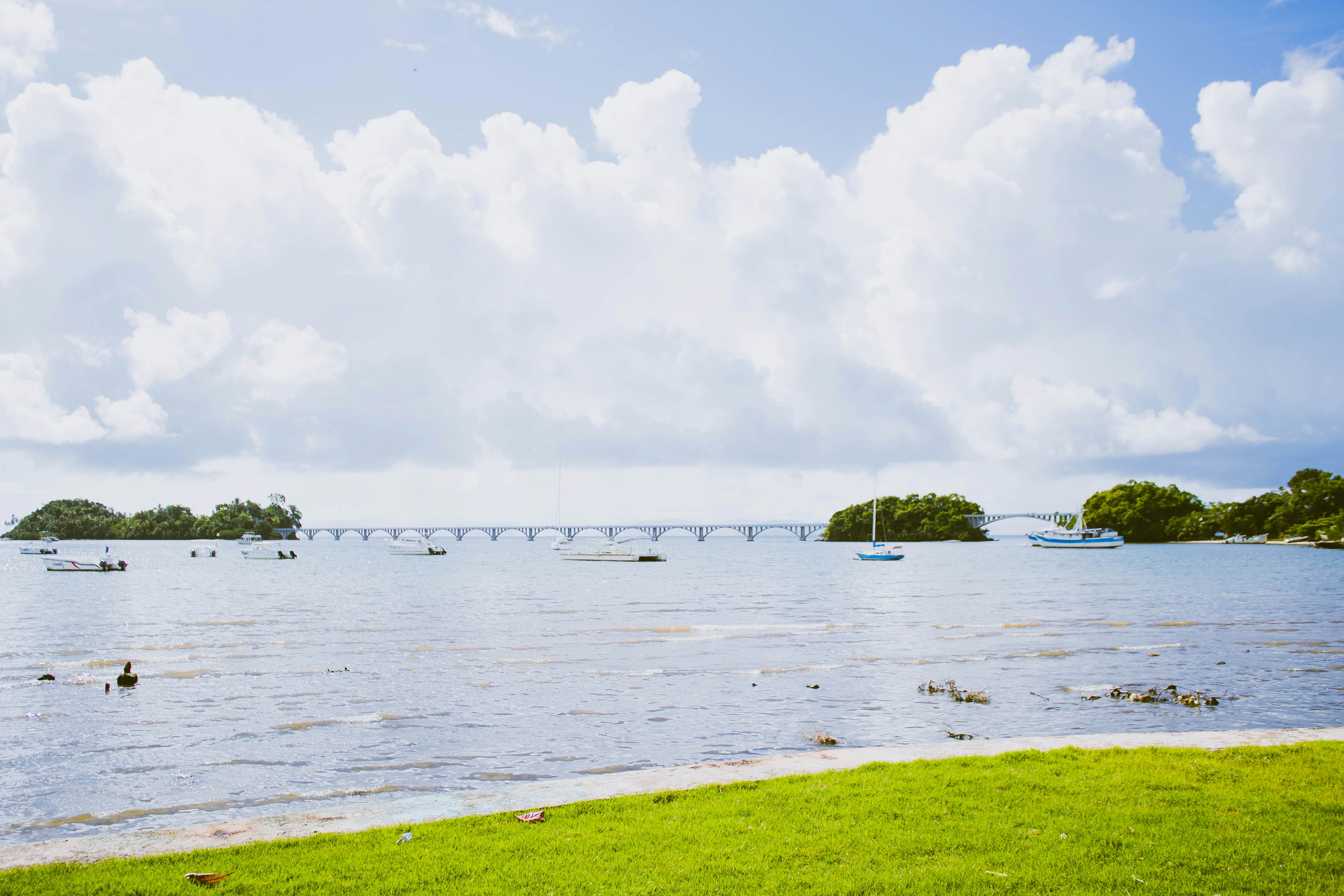 Photo by honeyyanibel