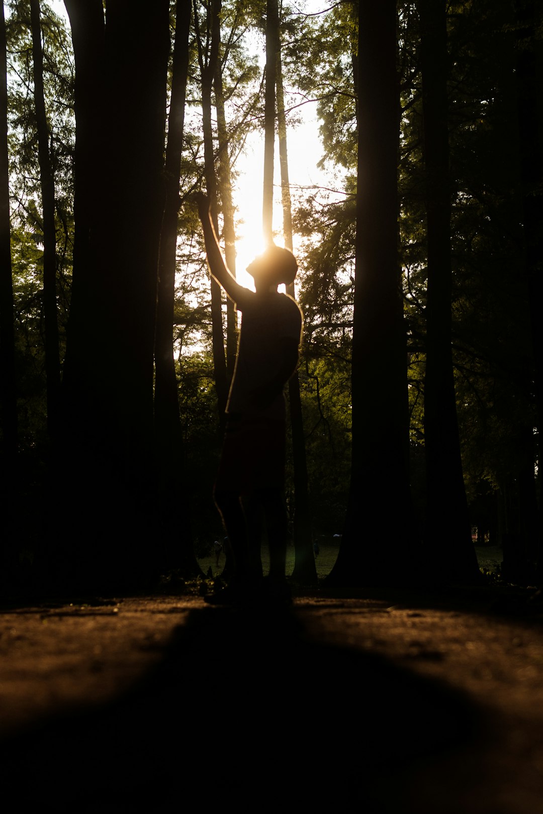 woman in black tank top and black pants standing in the middle of the forest during