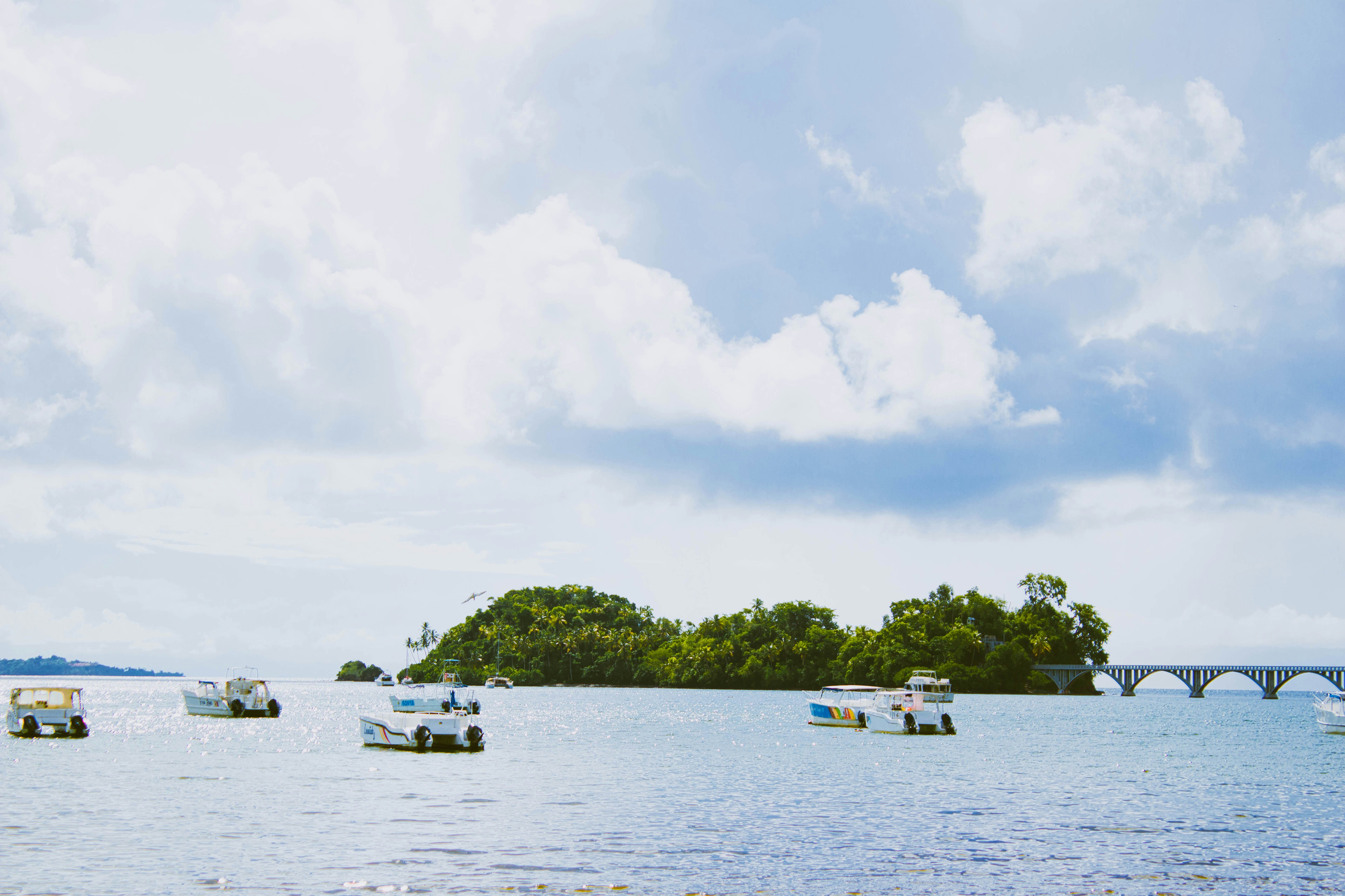 Photo by honeyyanibel