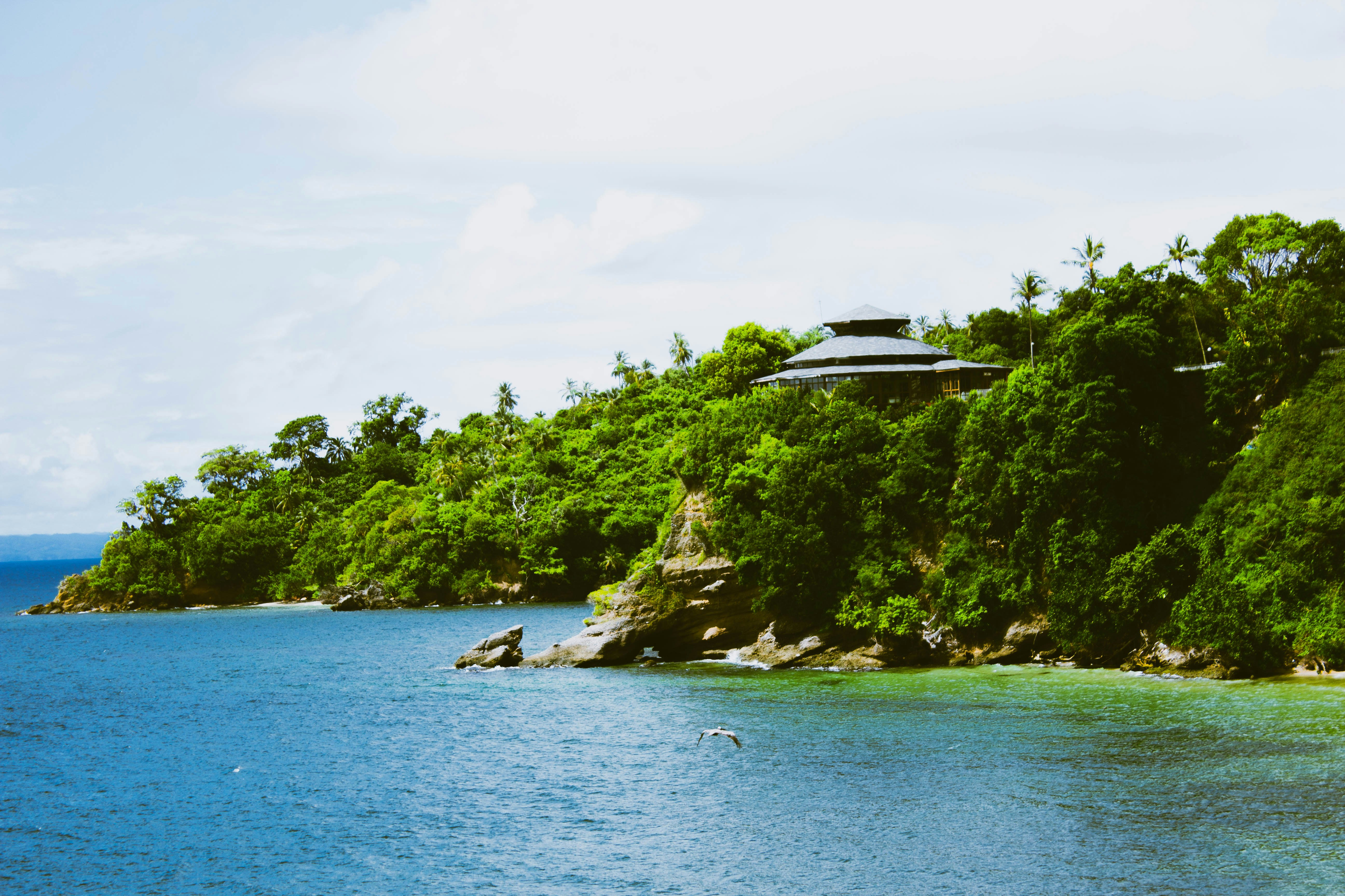 Photo by honeyyanibel