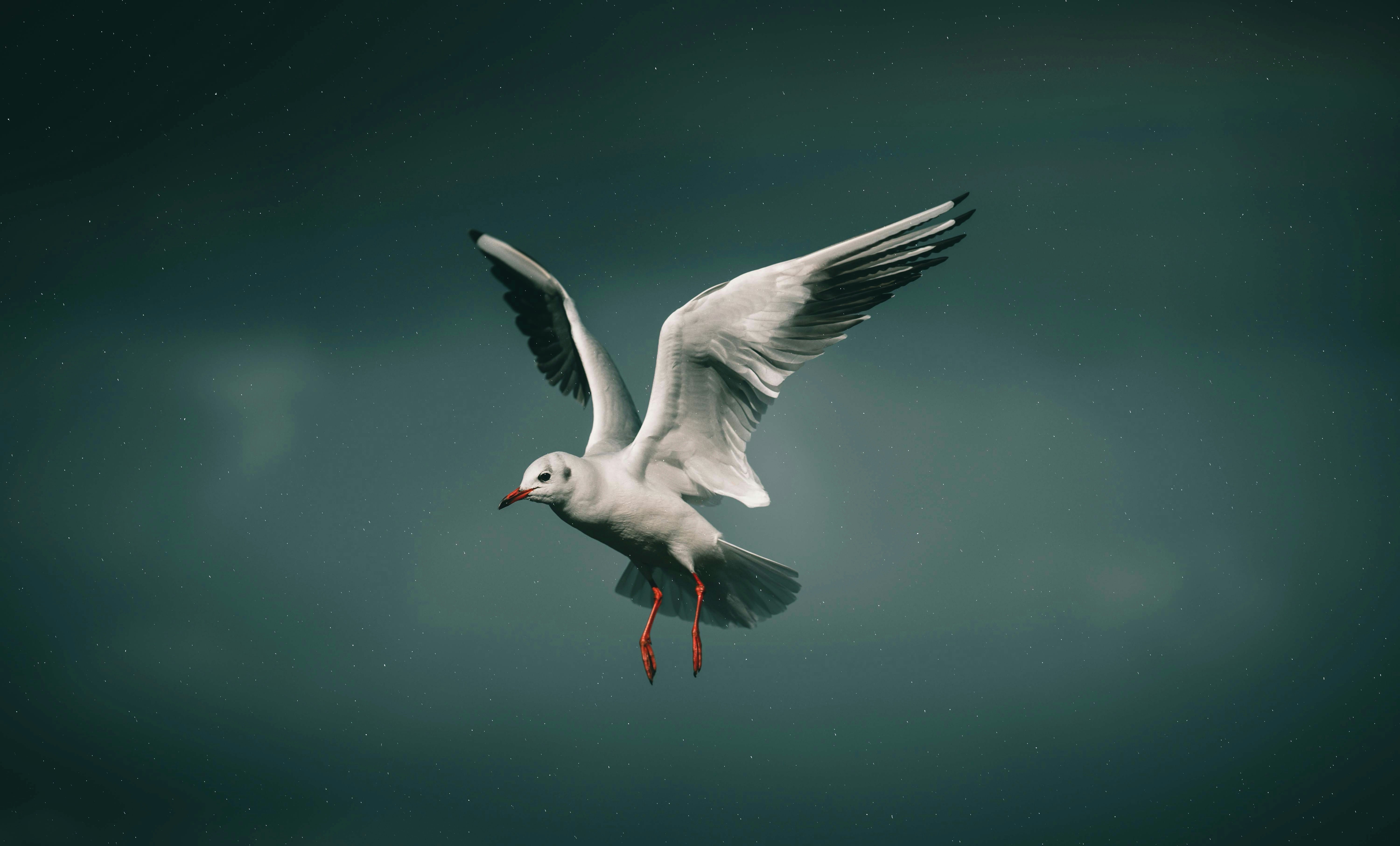 Photo by omarvellous14