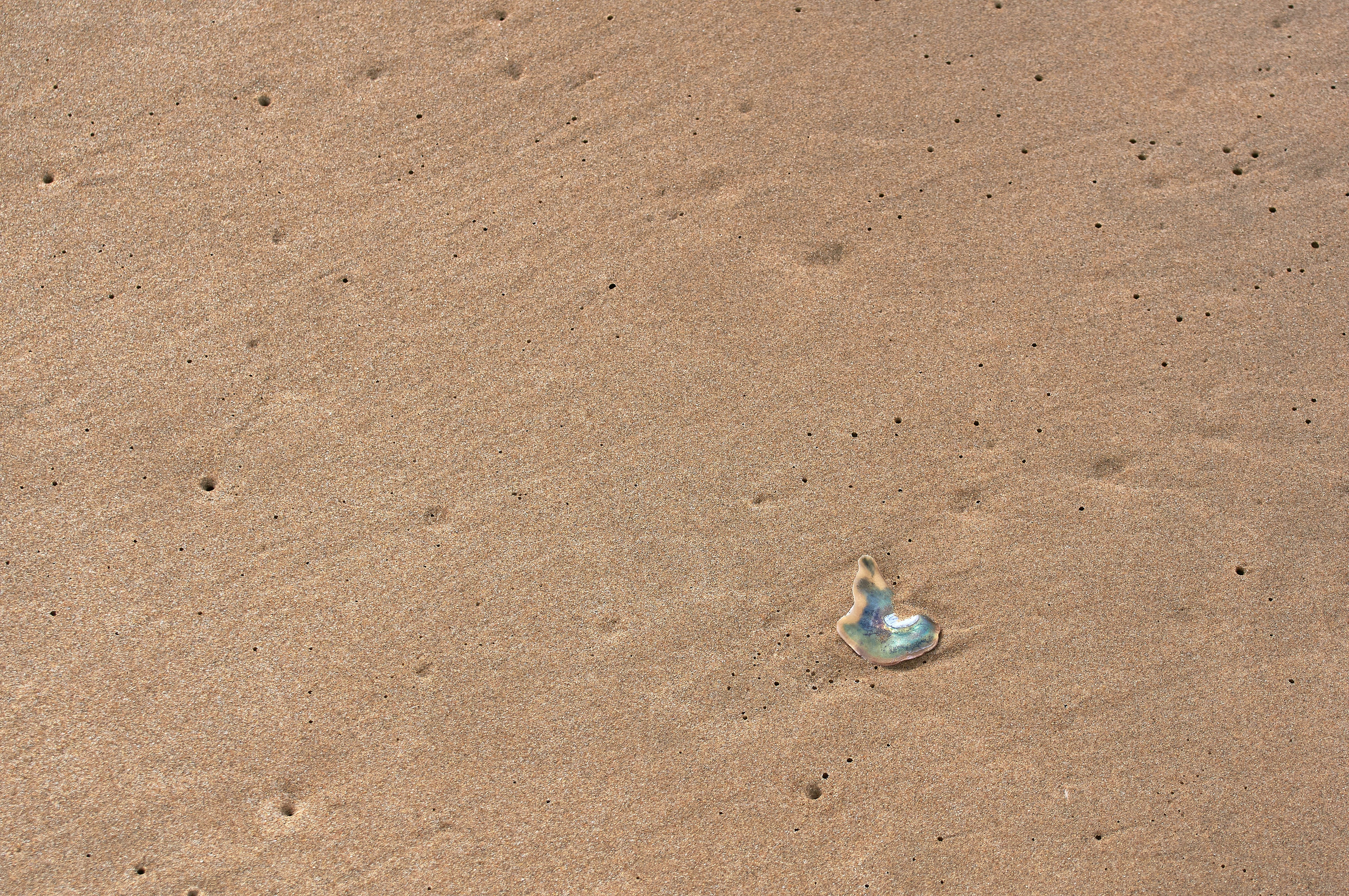 Photo by wolfgang_hasselmann