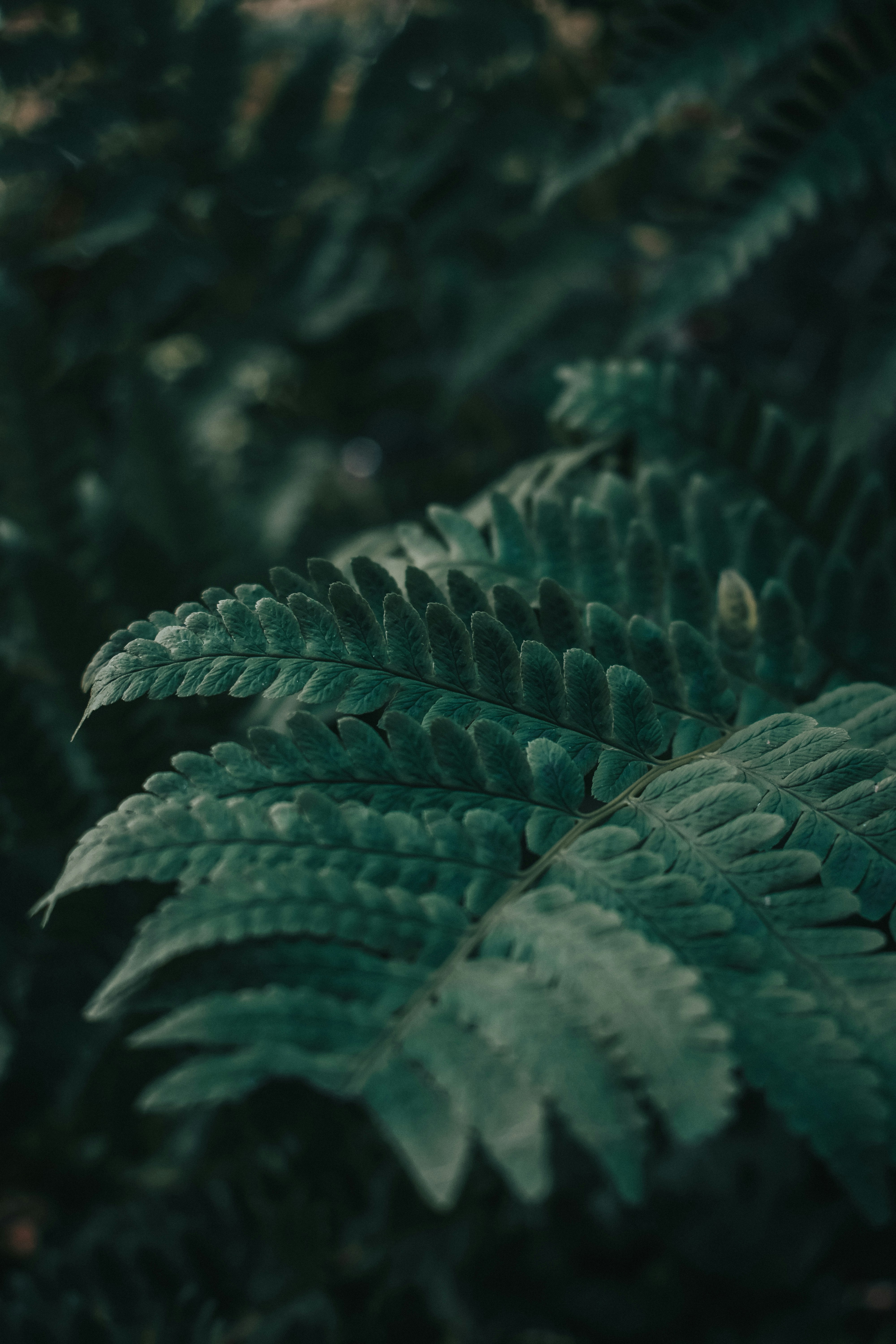 Photo by mariahhewines