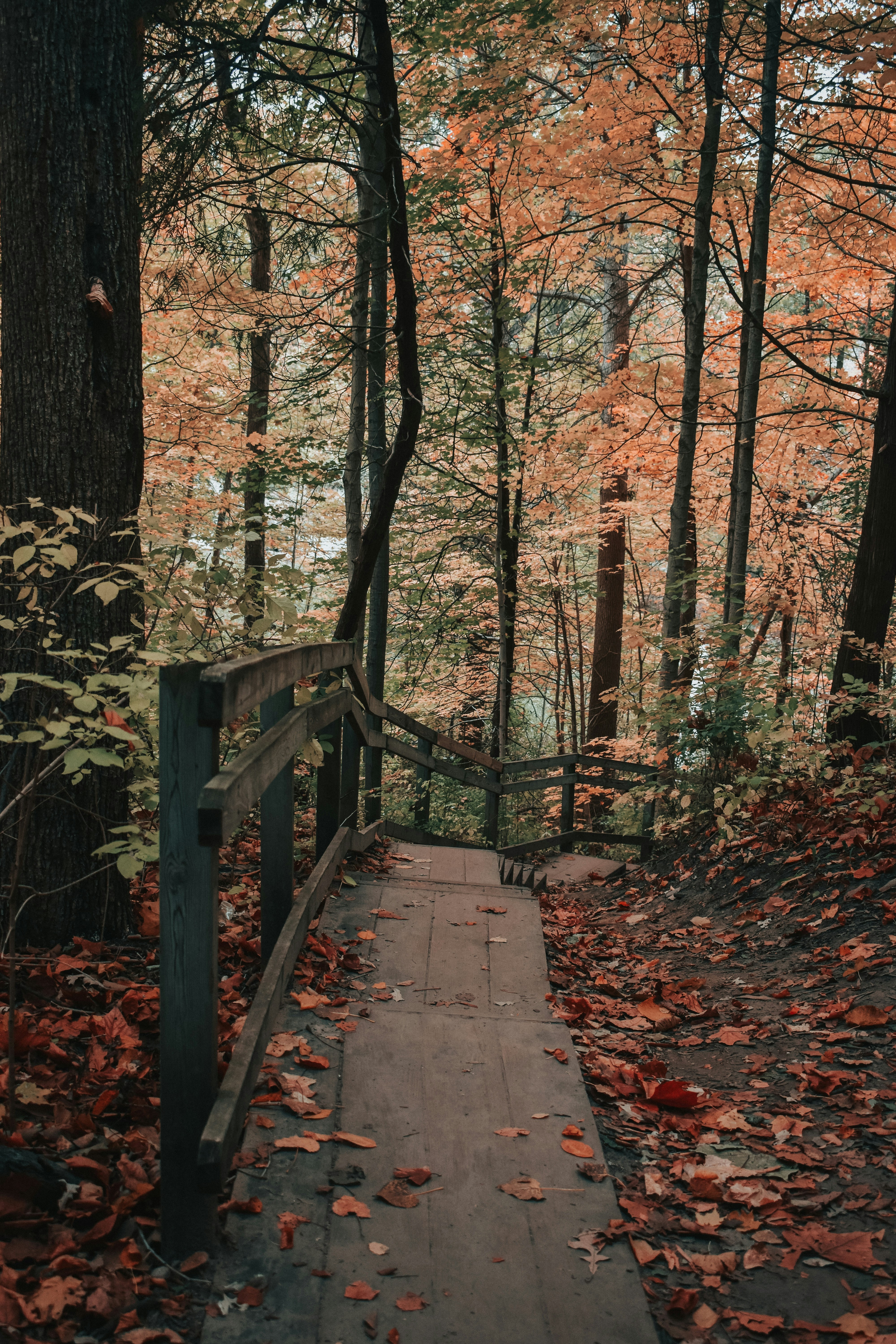 Photo by mariahhewines