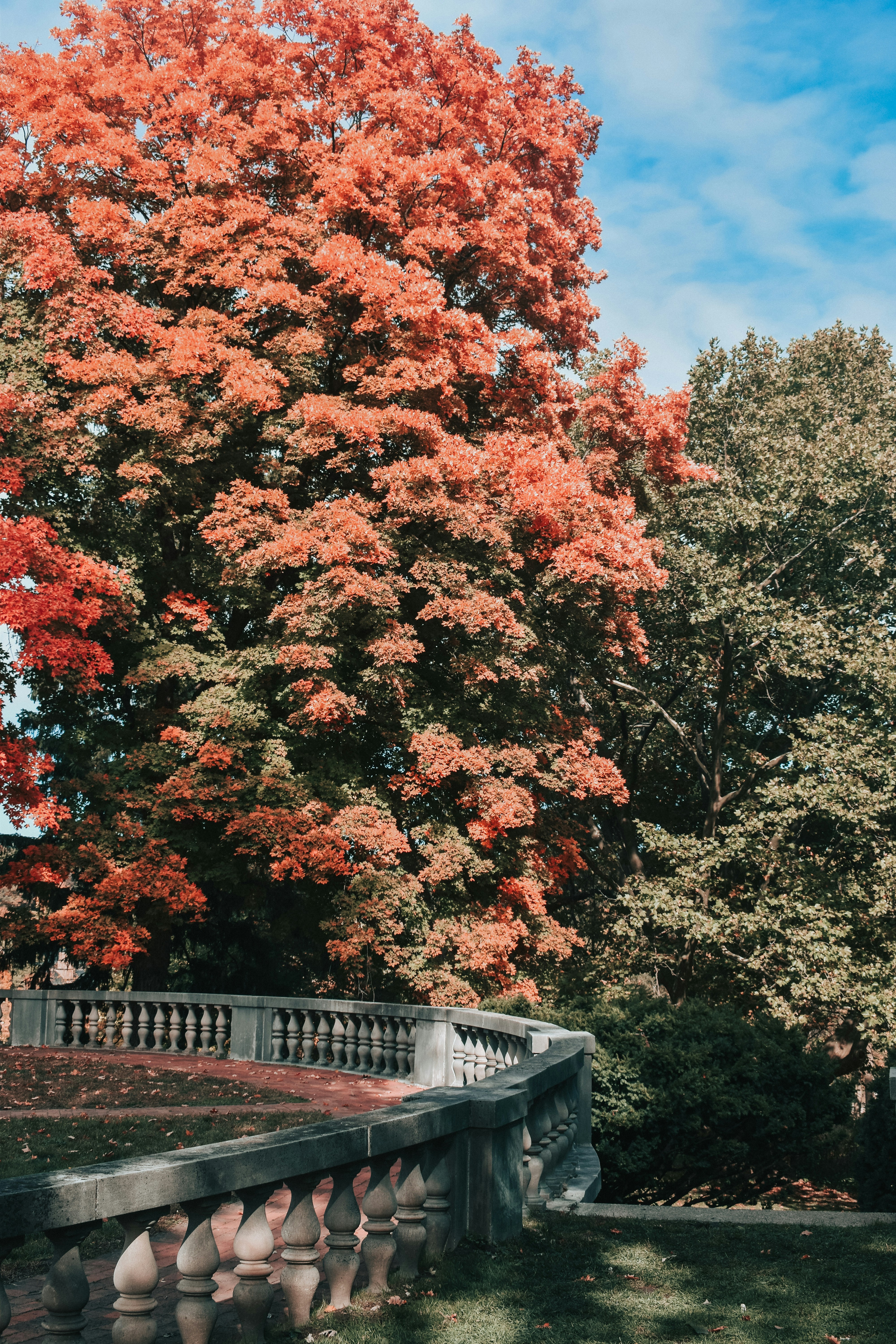 Photo by mariahhewines