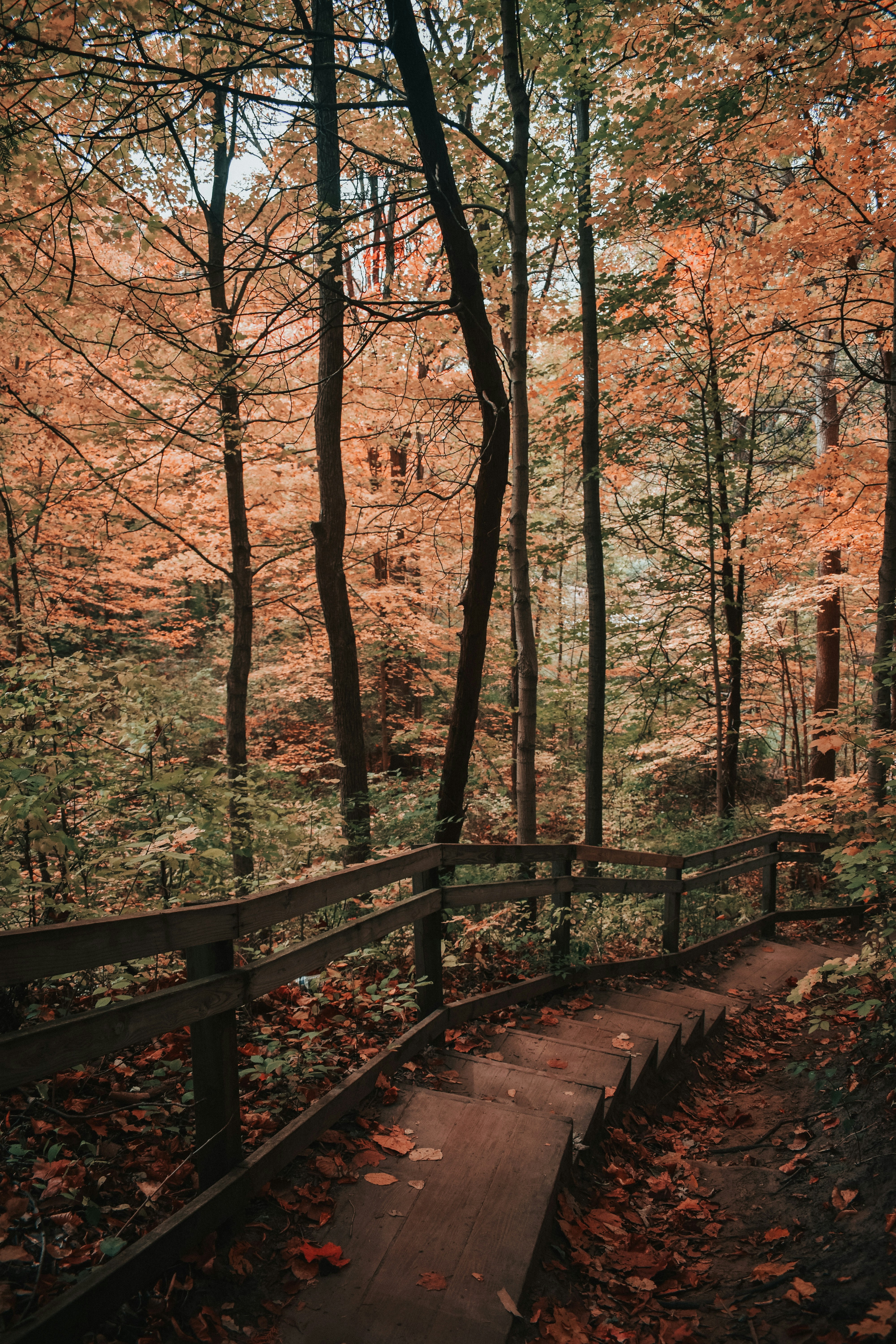 Photo by mariahhewines