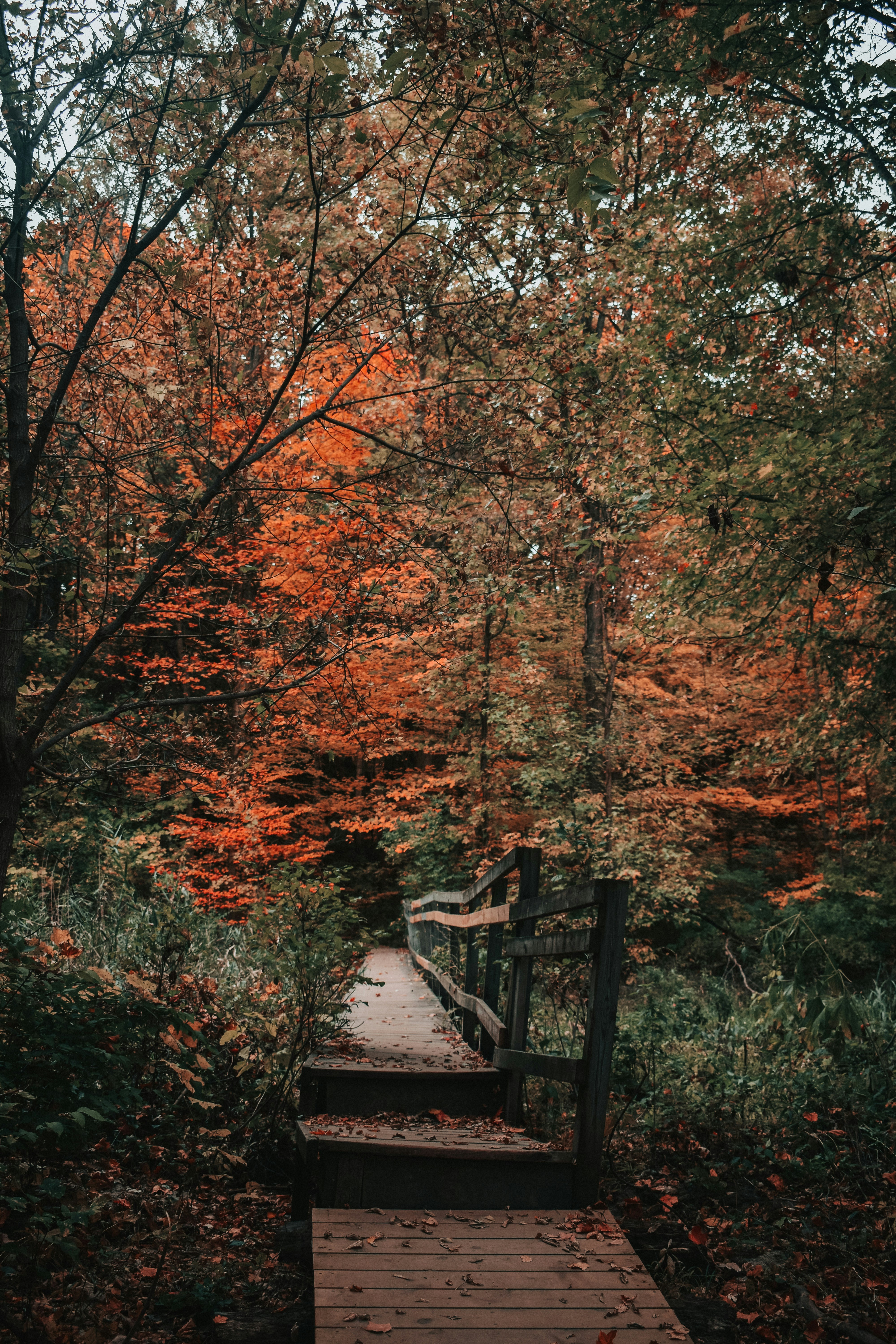 Photo by mariahhewines