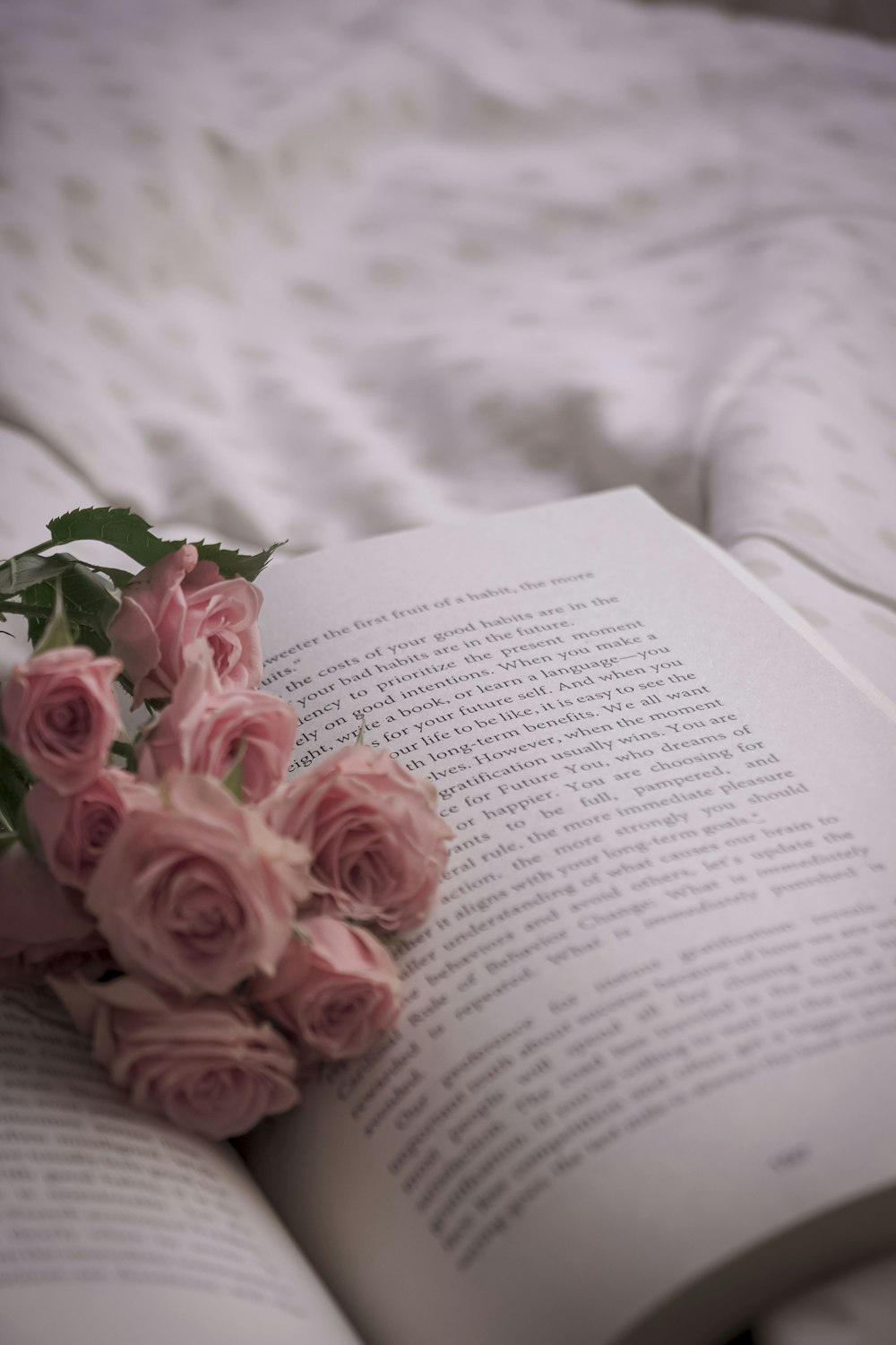 rosas rosas en la página blanca del libro