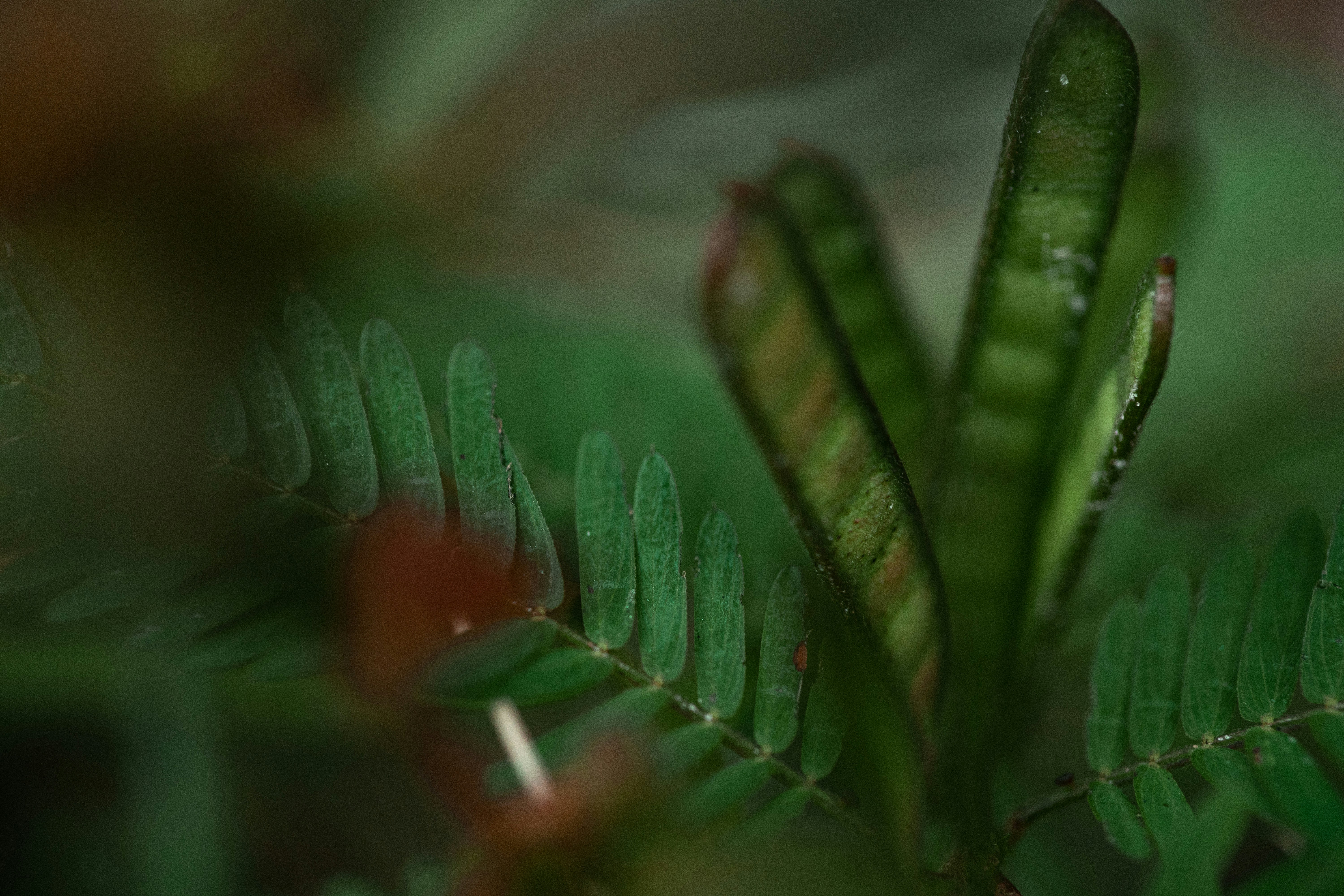 Photo by timothycdykes