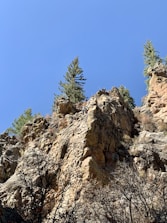 Climber scaling a rocky cliff face with a panoramic forest view below.