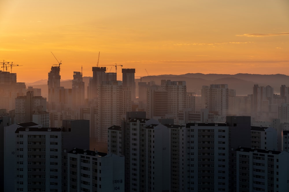 high rise buildings during sunset