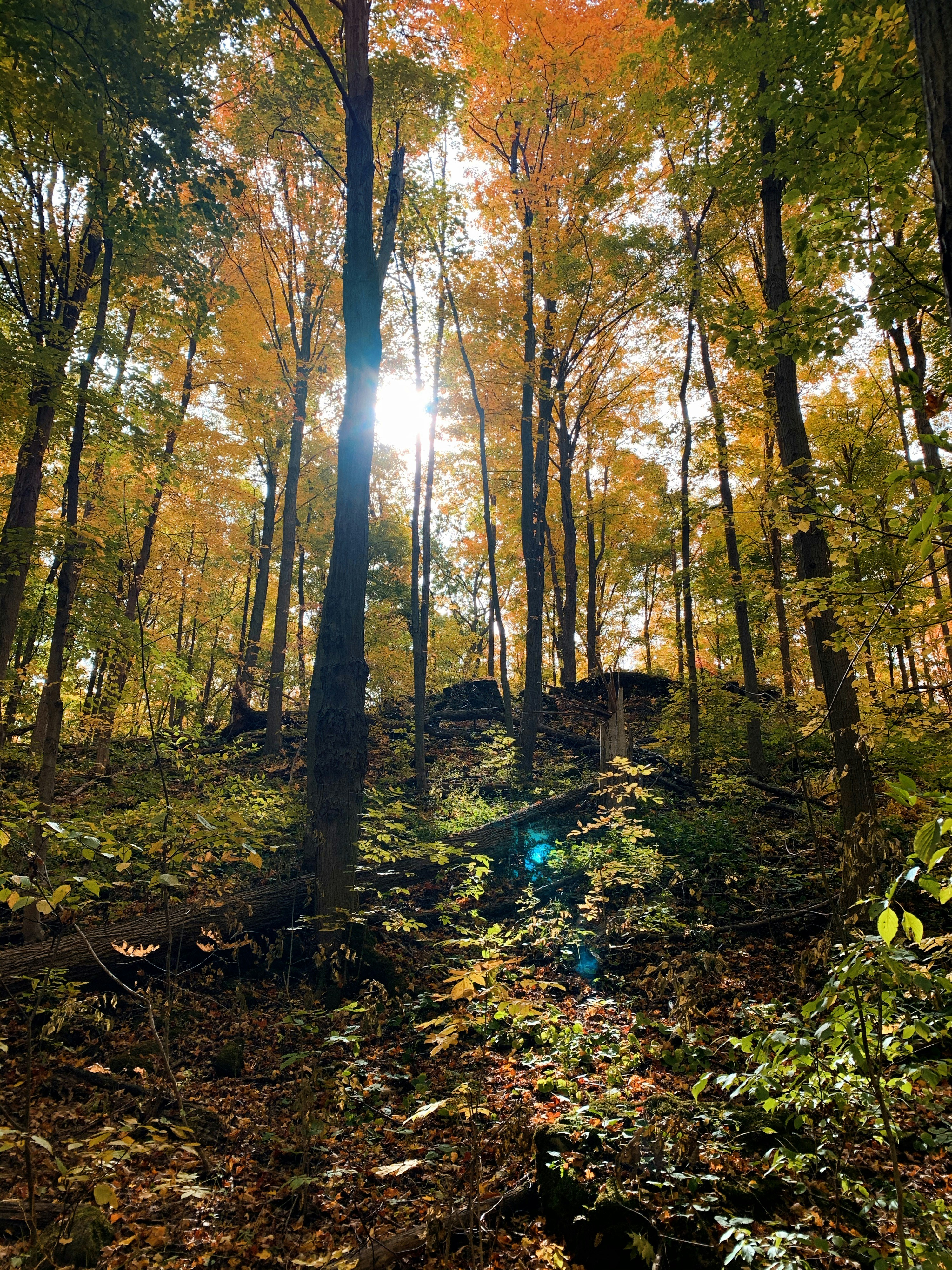 Photo by nicoleraine