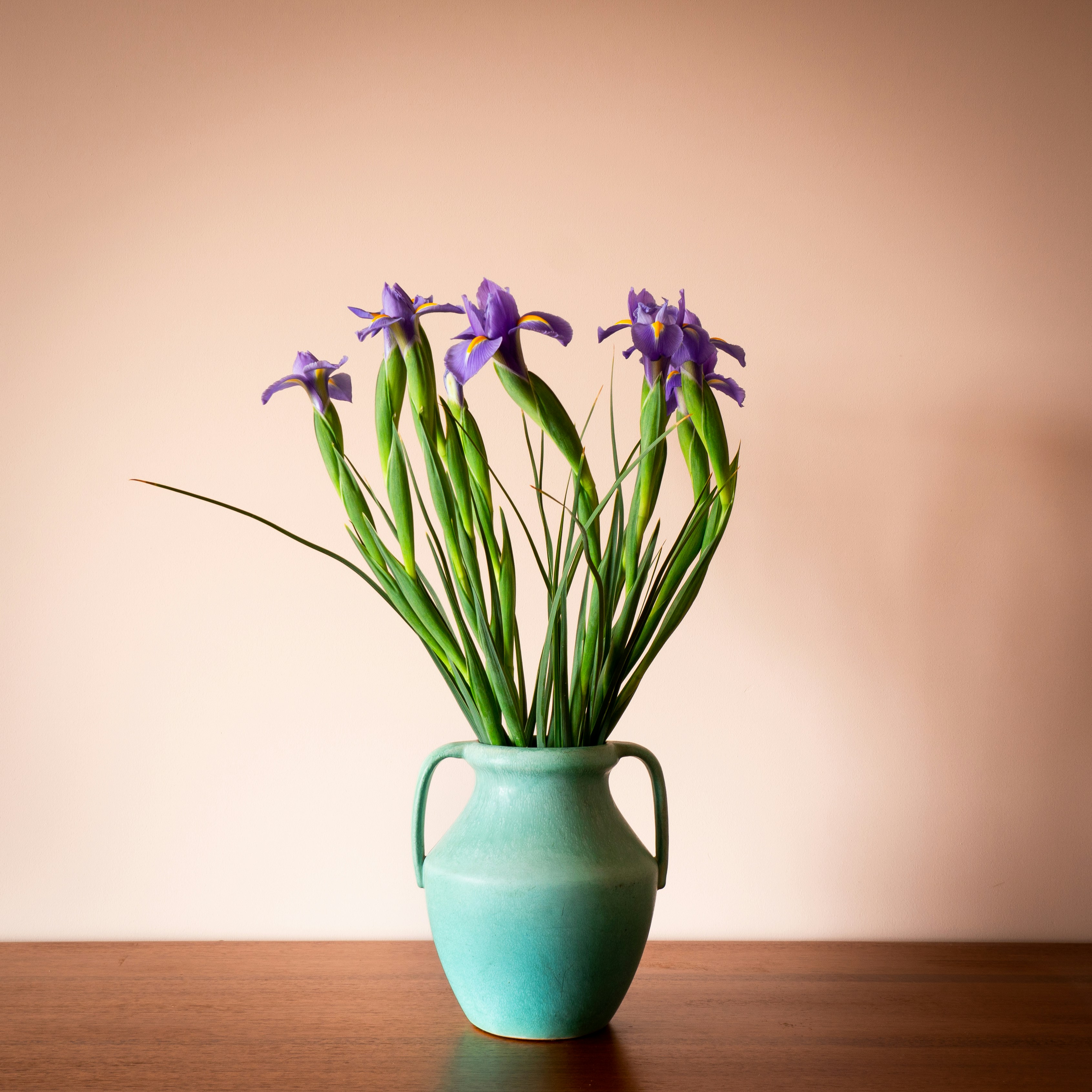 Photo by earl_plannerzone