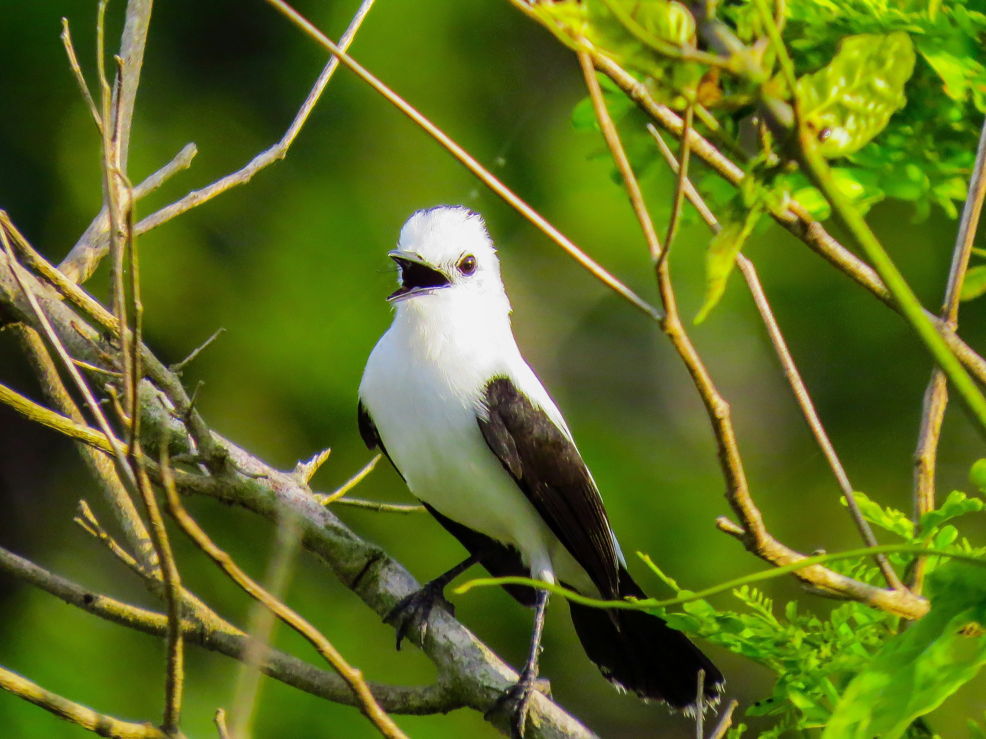 Photo by dienyportinanni