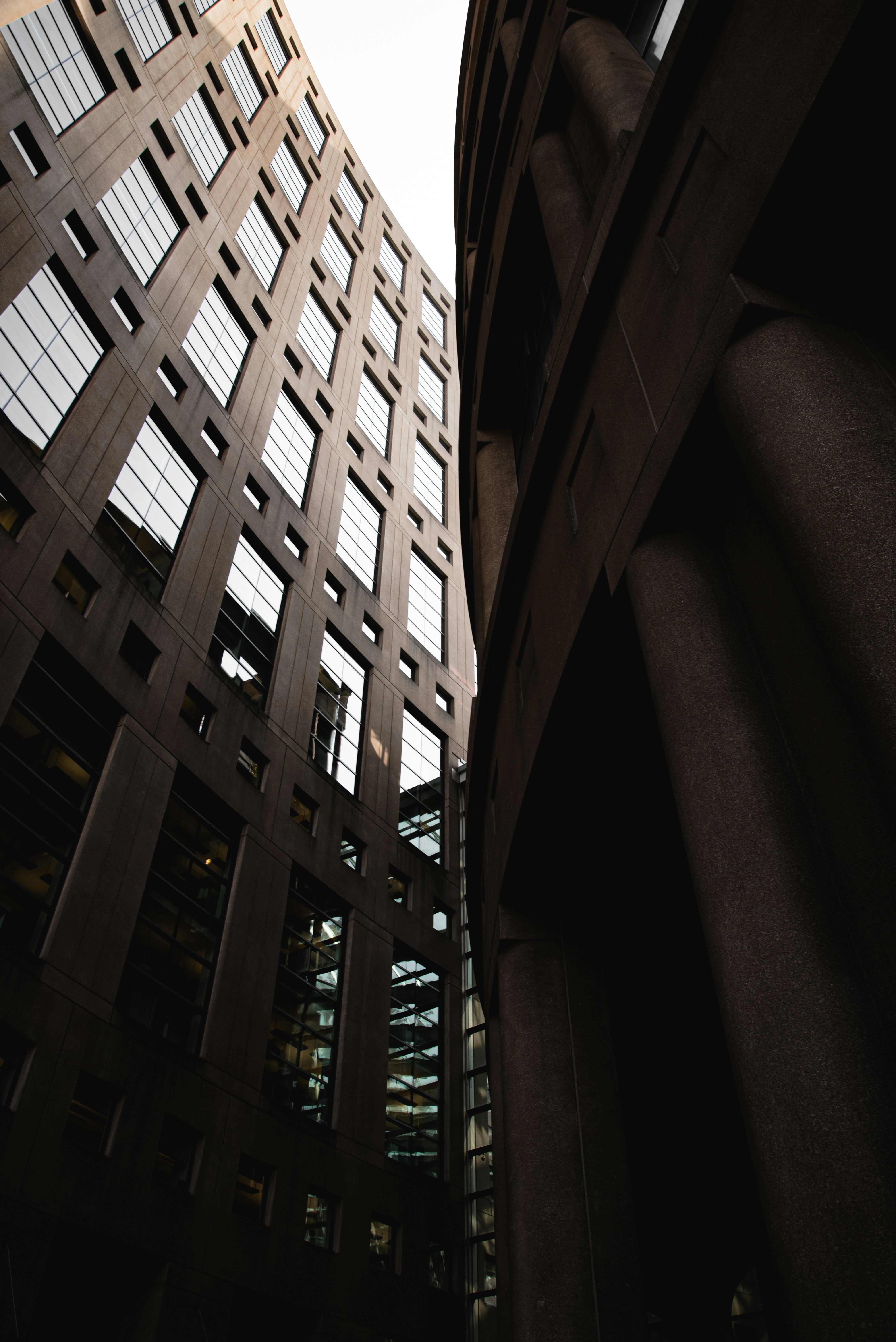 Photo by ryunosuke_kikuno