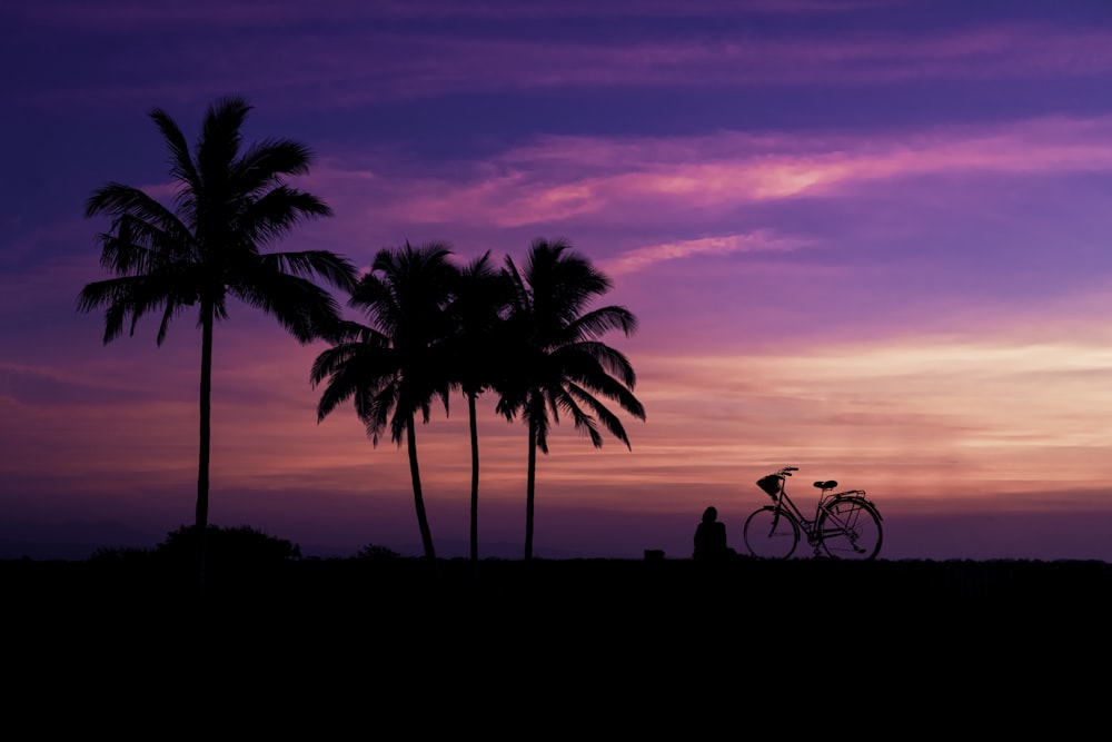 silhouette of palm tree during sunset