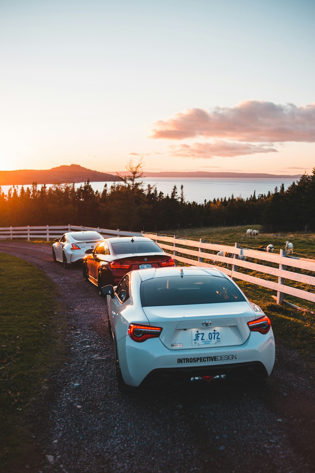 white car parked on green grass field during daytime