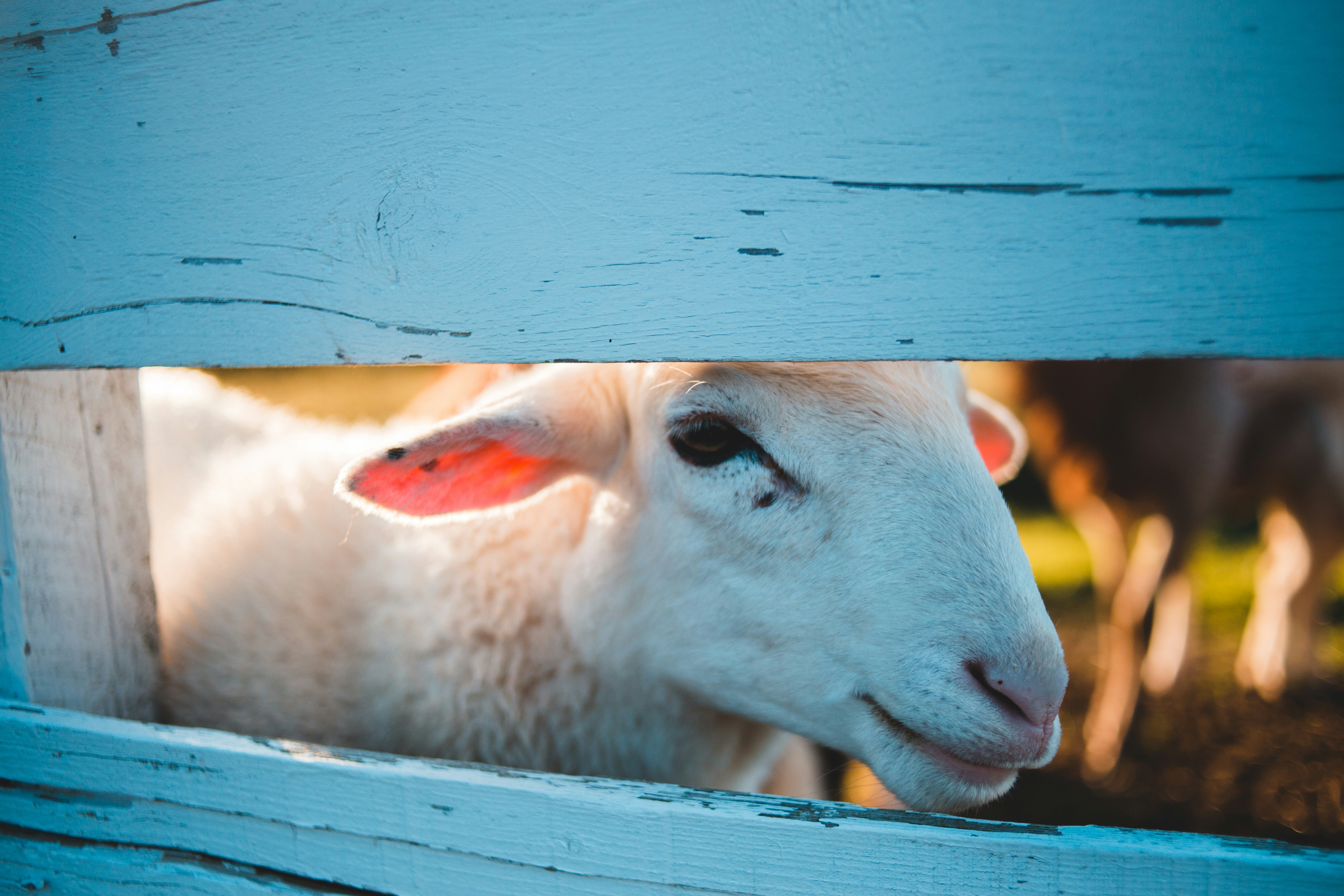 Photo by introspectivedsgn