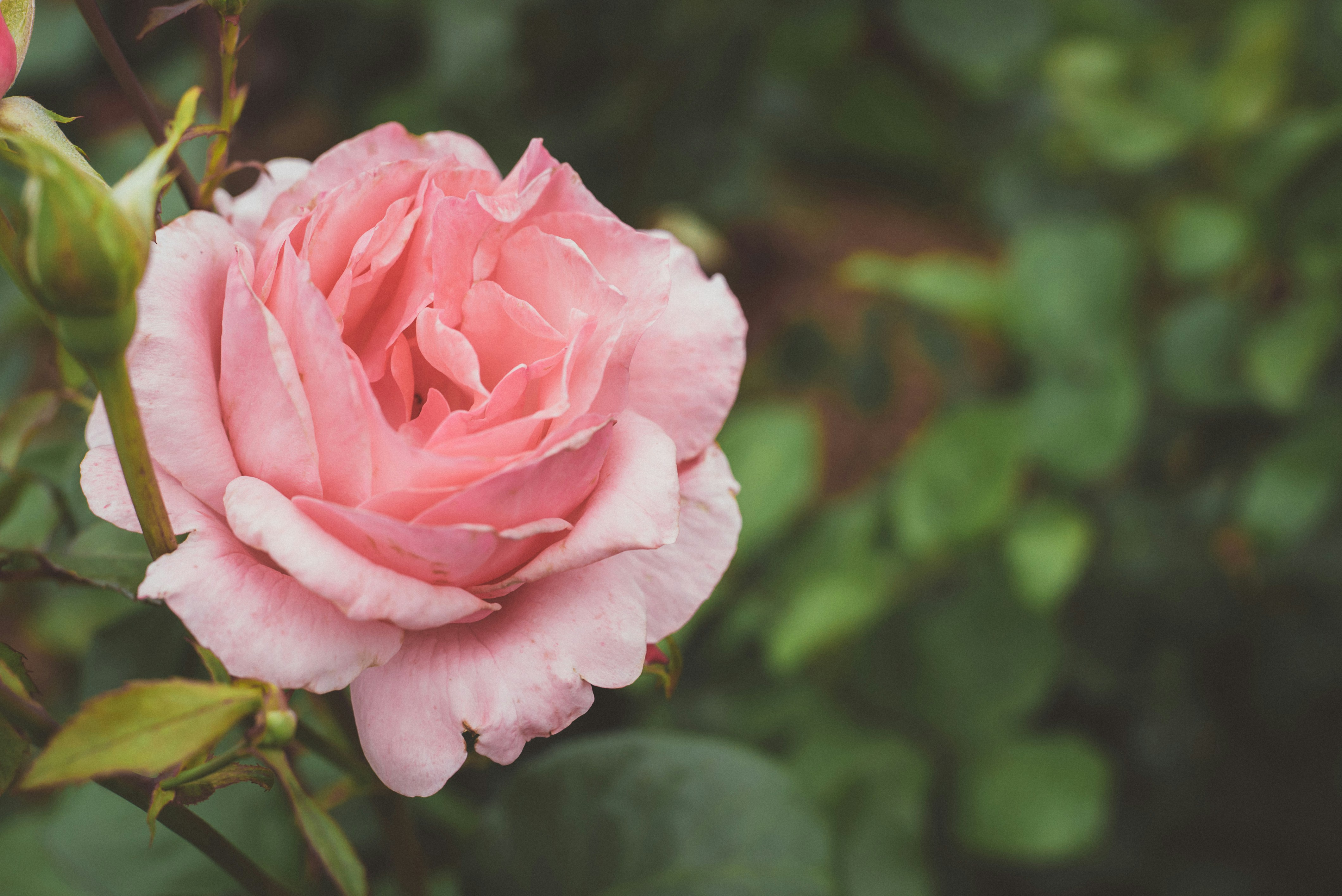 Photo by mannysantiagovisuals