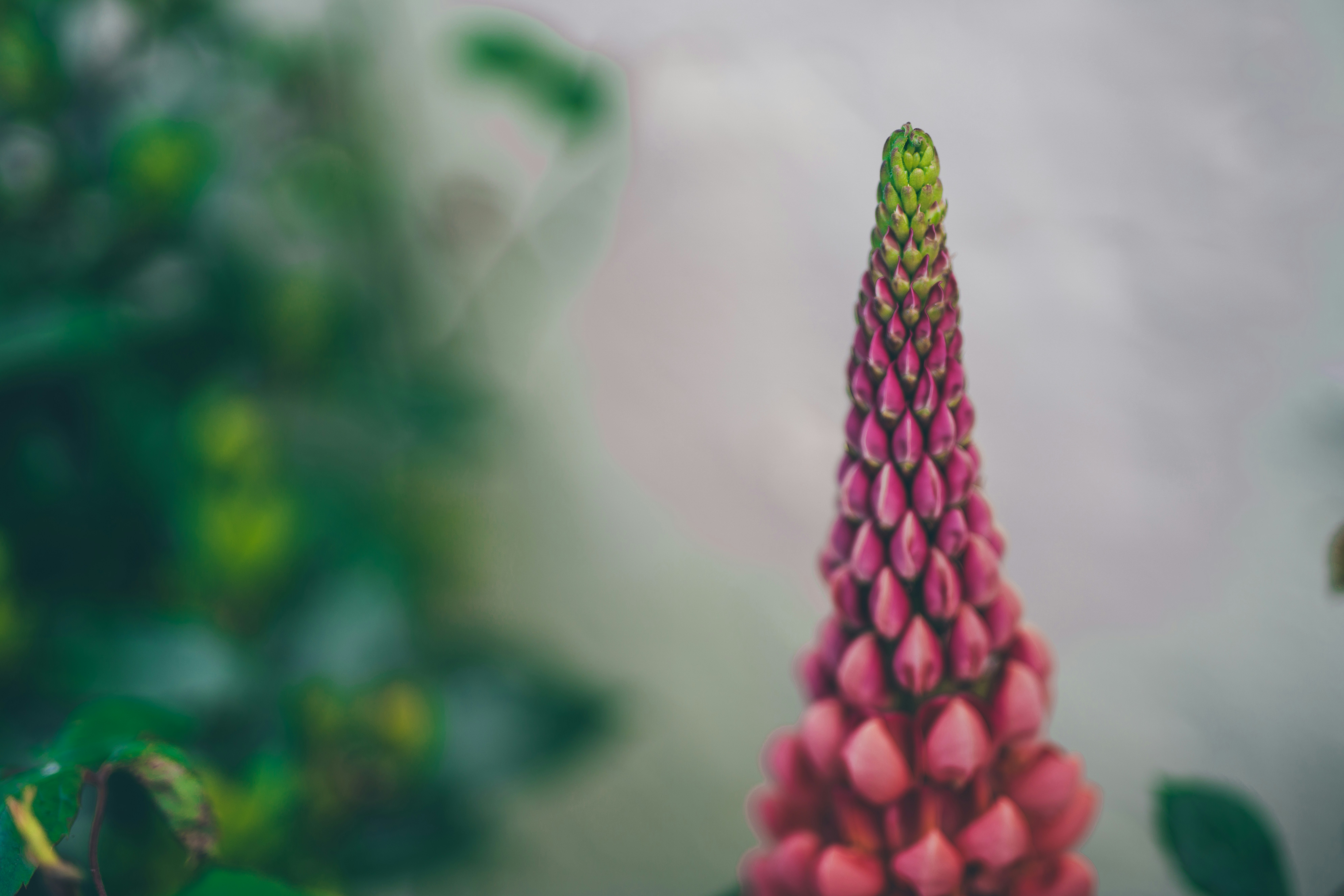 Photo by mannysantiagovisuals