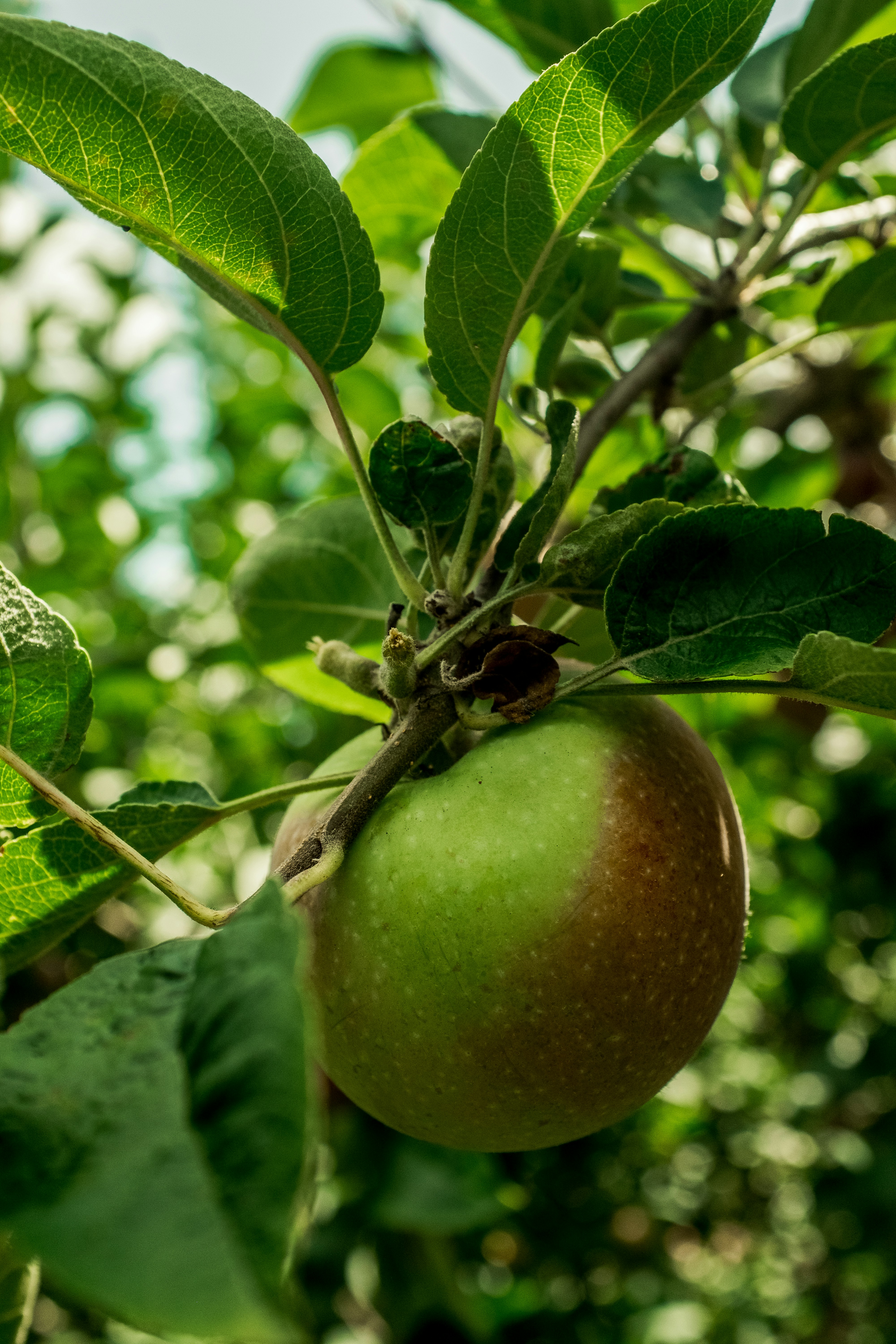 Photo by mannysantiagovisuals