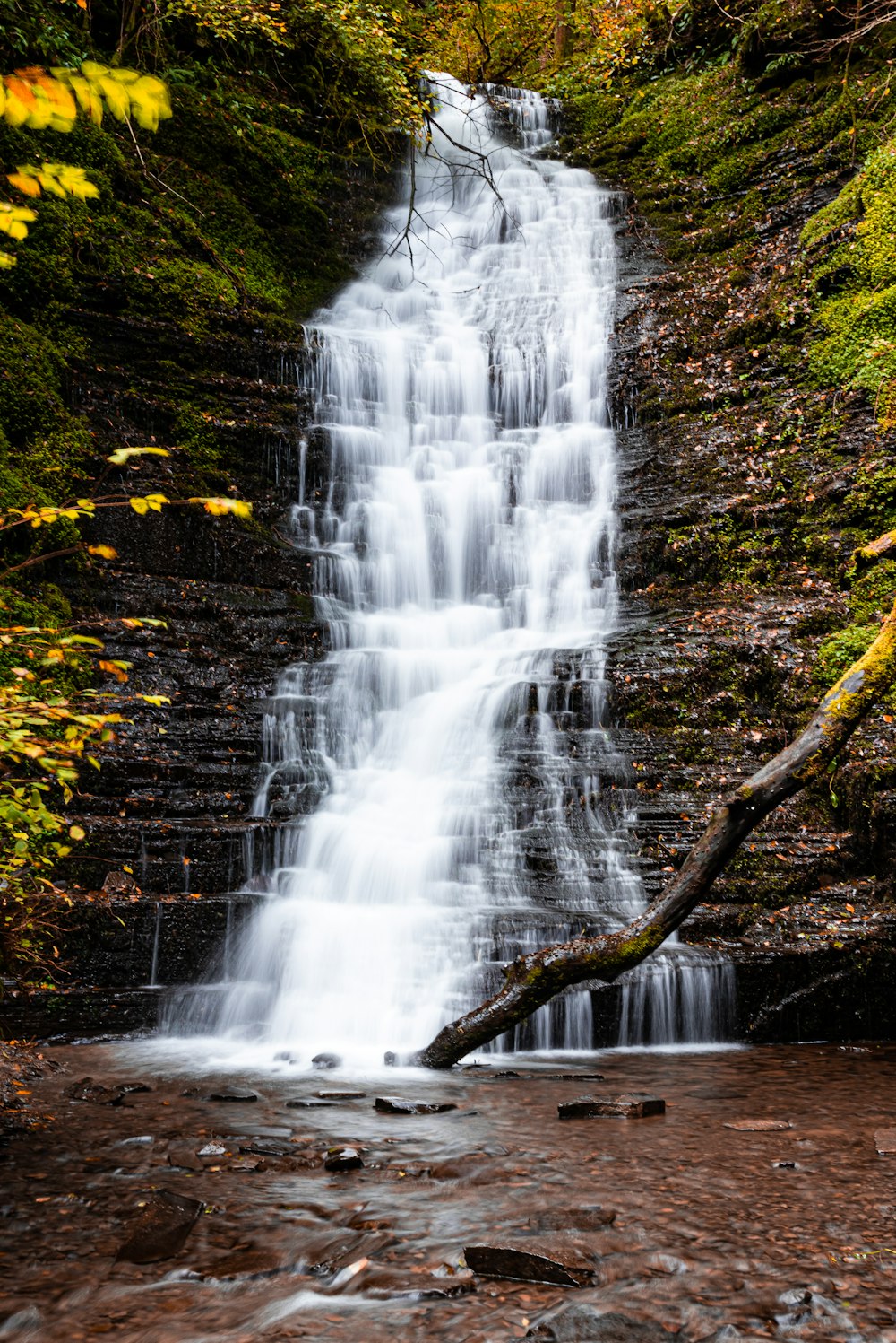 water falls on brown tree trunk