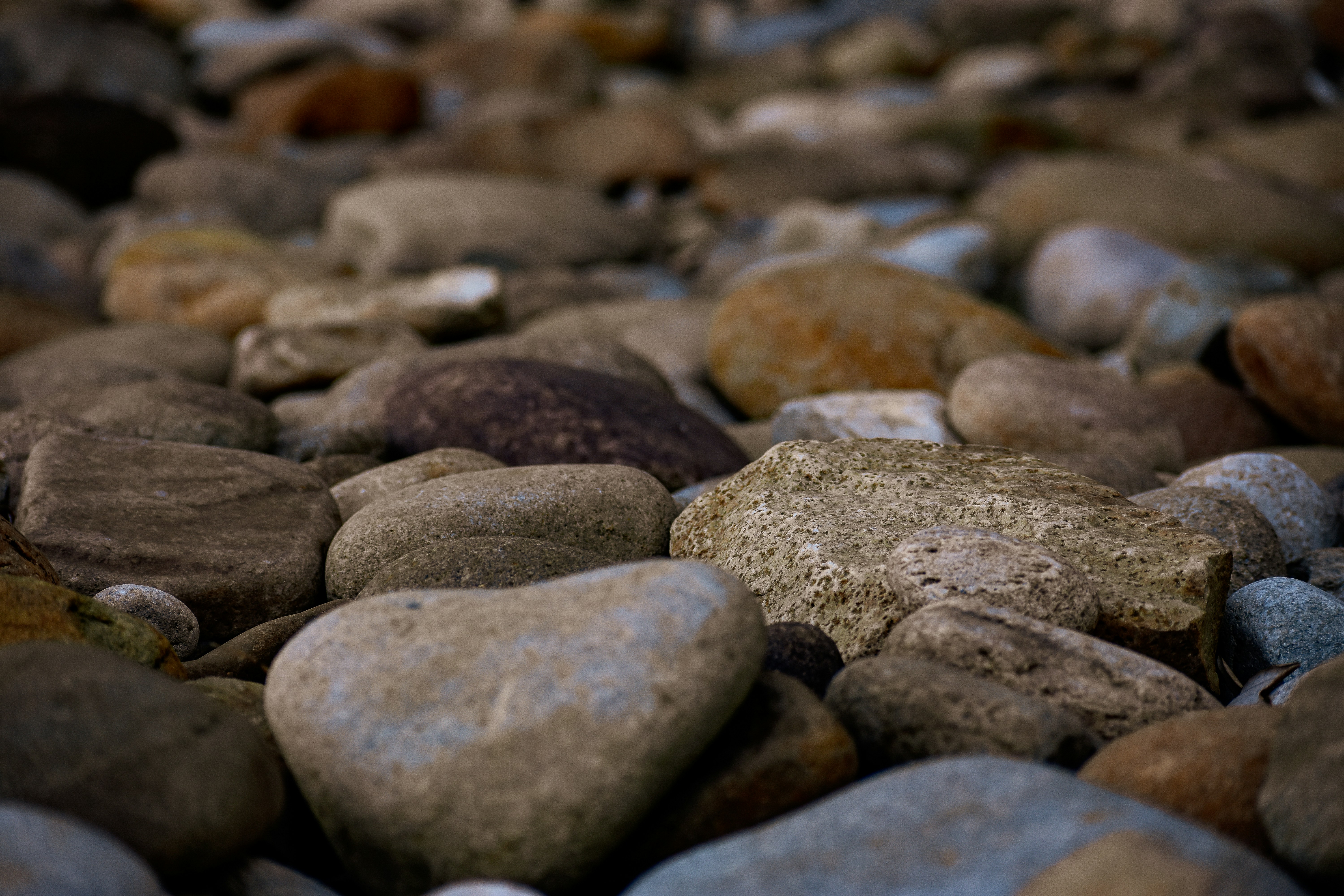 Photo by taylor_smith