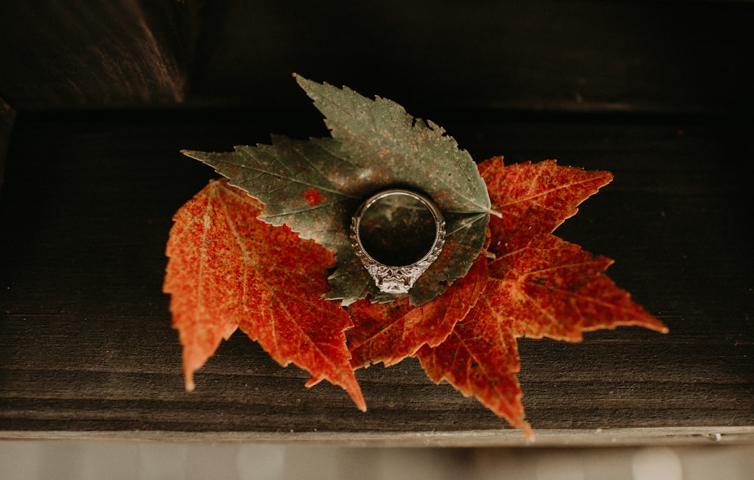 silver round coin on green and orange maple leaf