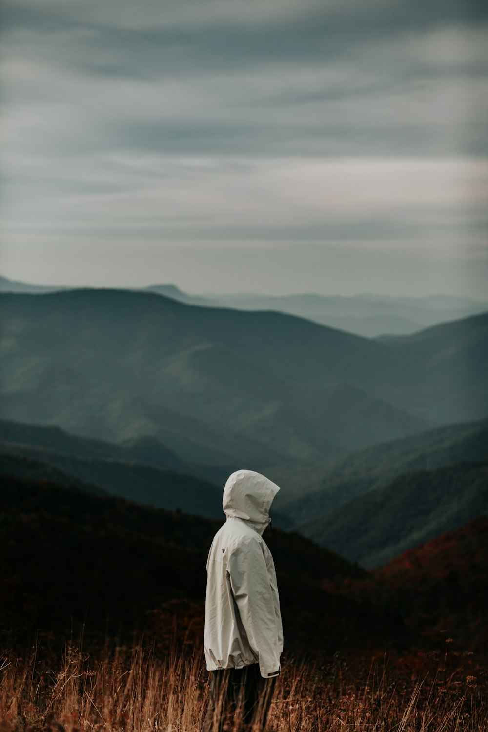 person in gray hoodie standing on top of mountain during daytime