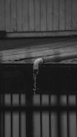 A black and white photograph depicting water flowing out of a pipe mounted on a roof made of corrugated metal. The water is visibly dripping down in a narrow stream, indicating it might be raining. The background shows vertical wooden paneling and part of another structure.
