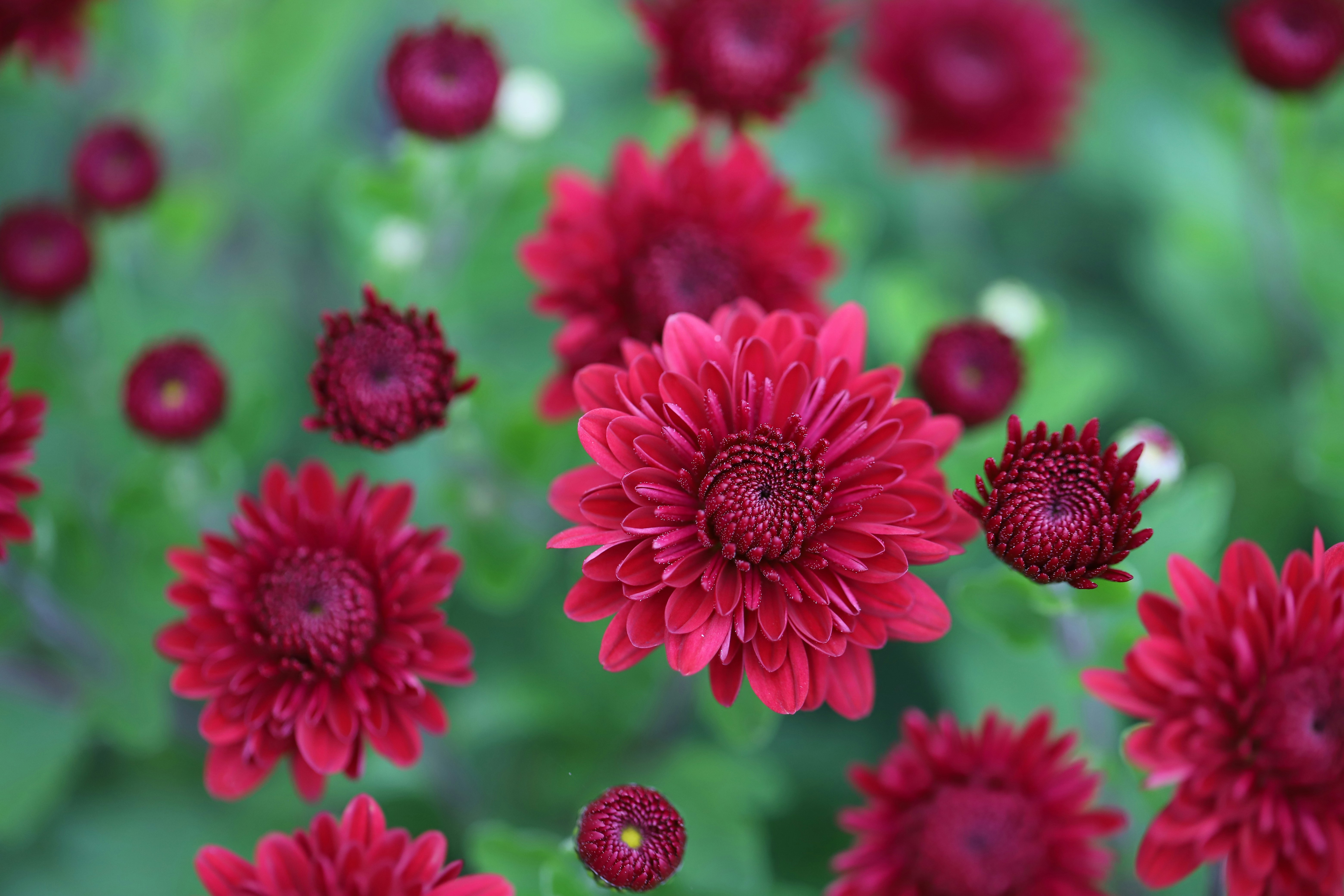 Photo by michaelbweidner