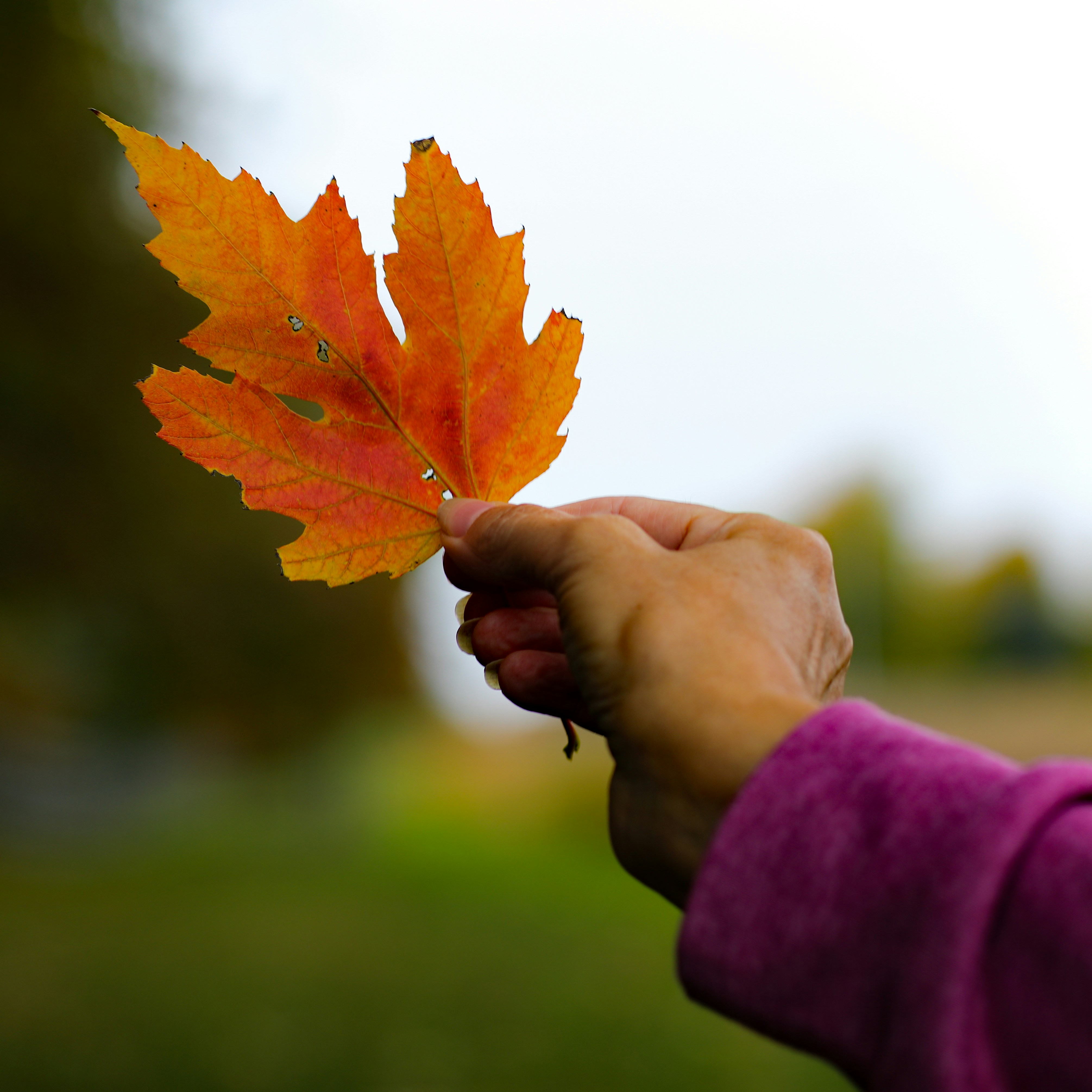 Photo by michaelbweidner