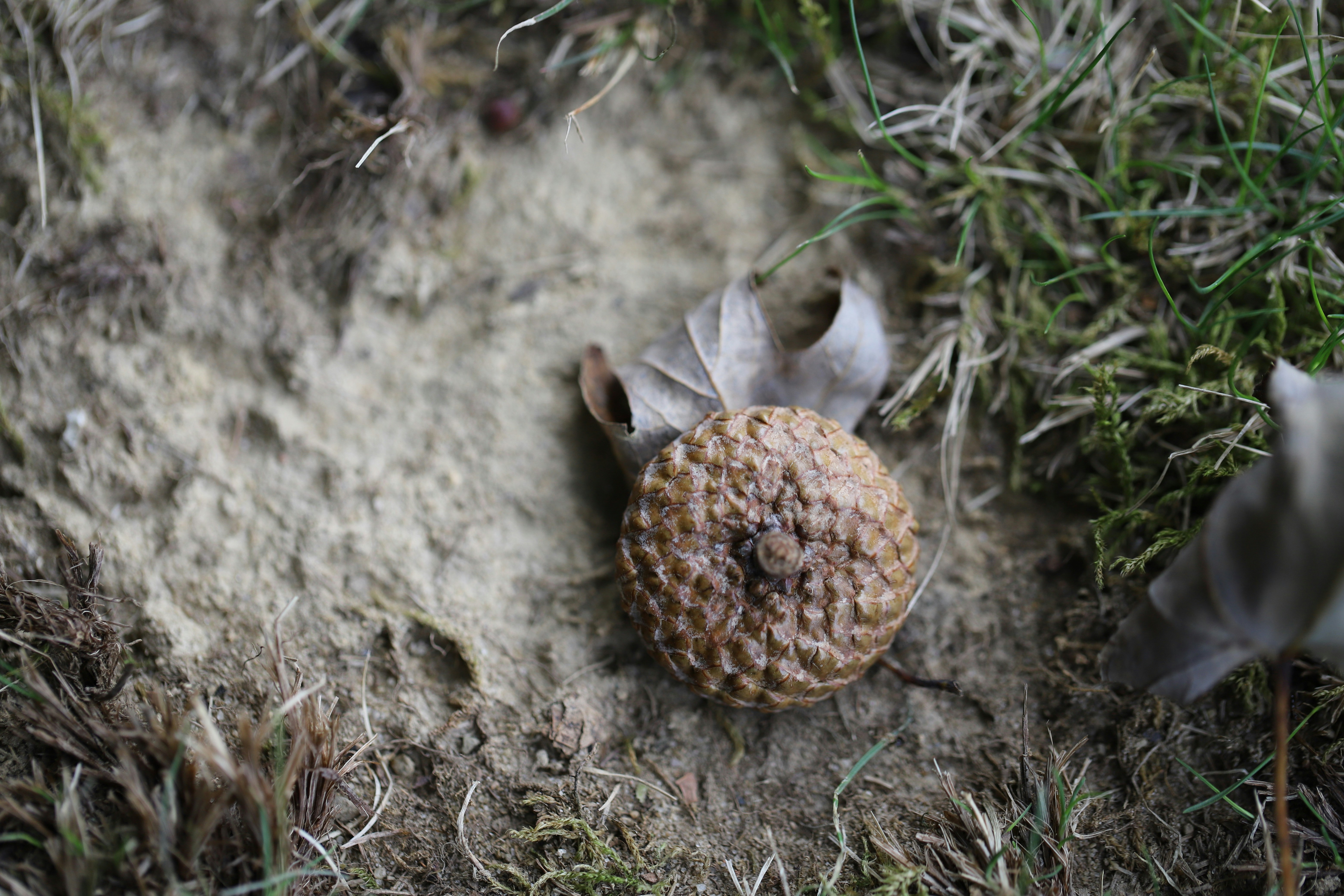 Photo by michaelbweidner