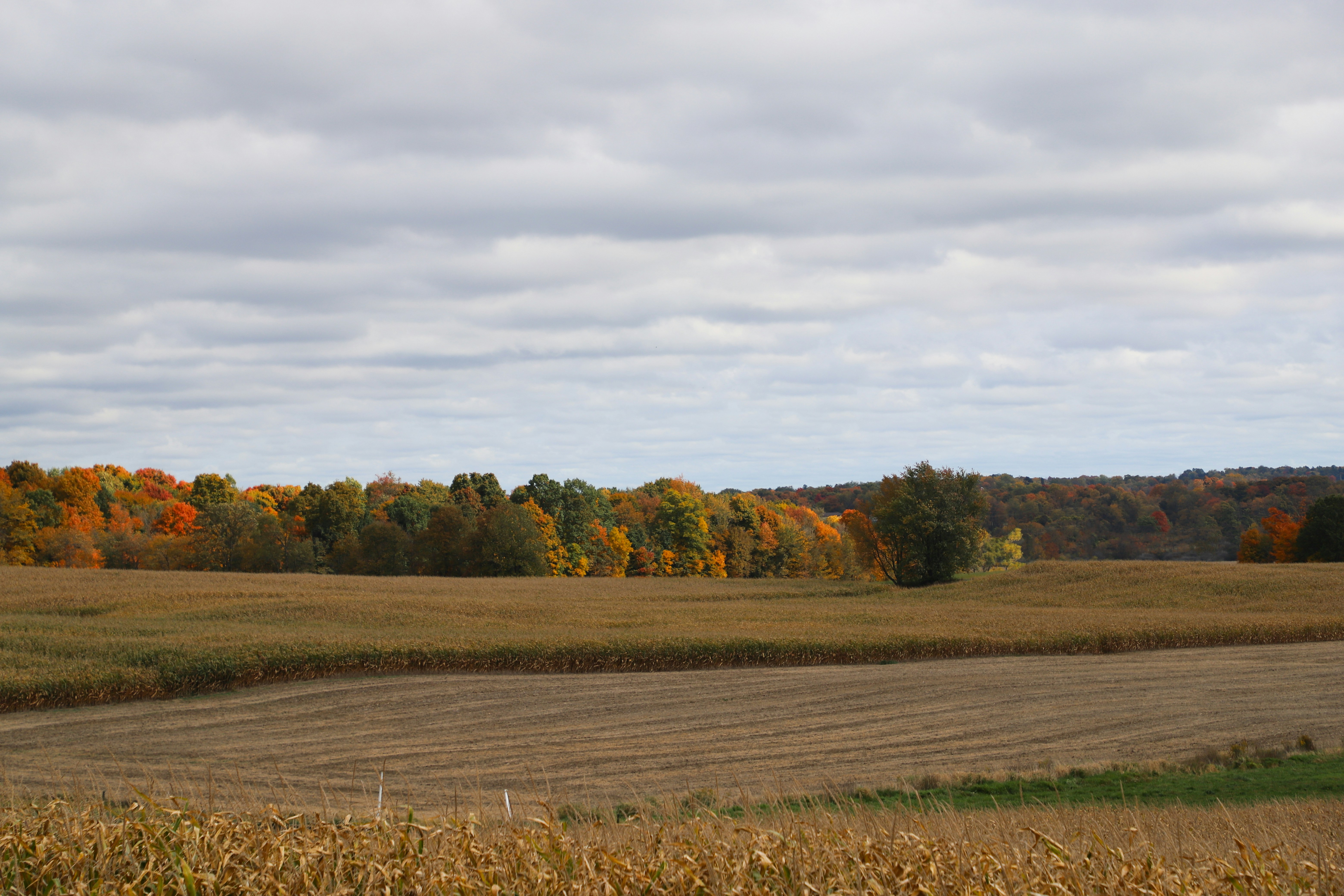 Photo by michaelbweidner