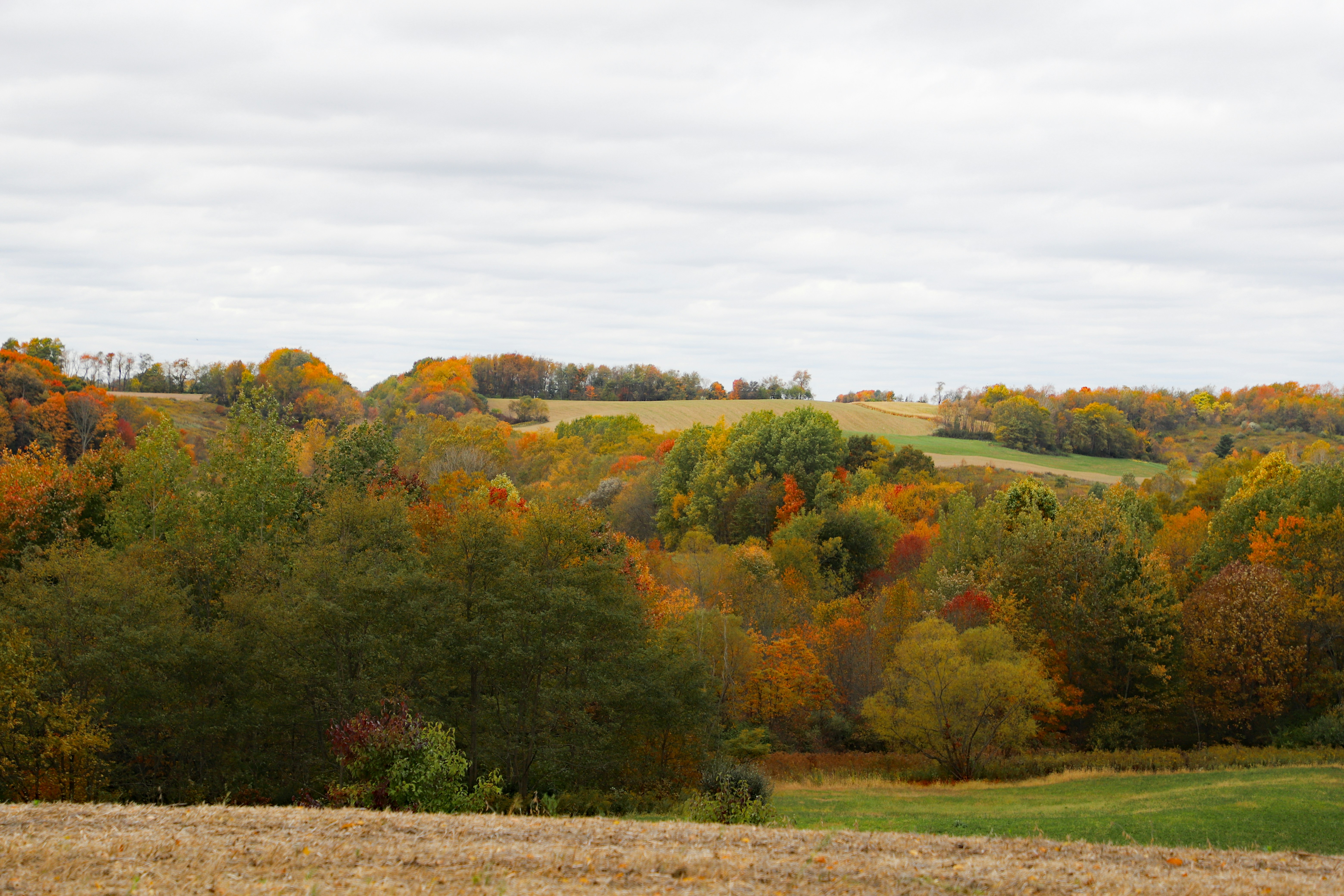 Photo by michaelbweidner