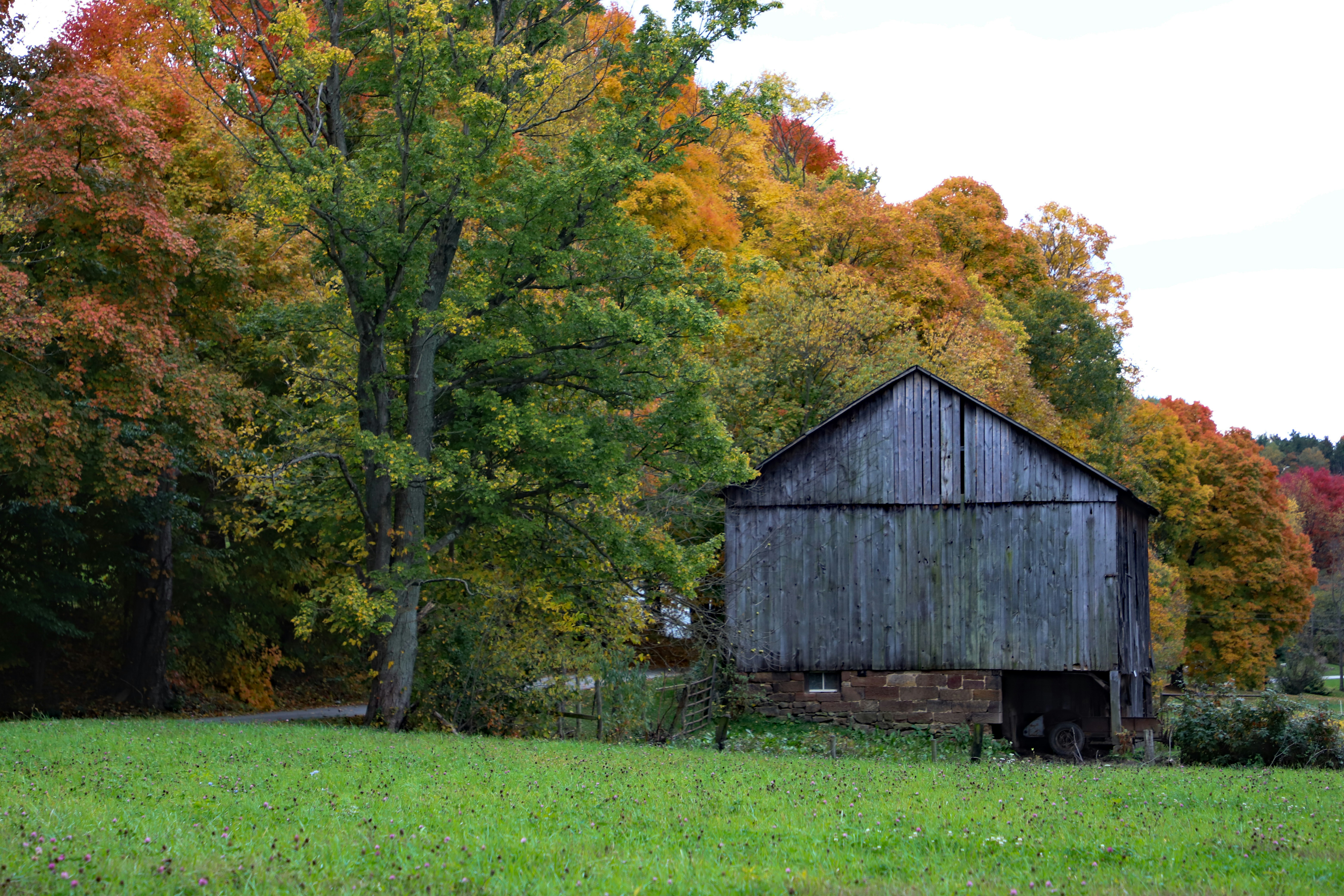 Photo by michaelbweidner