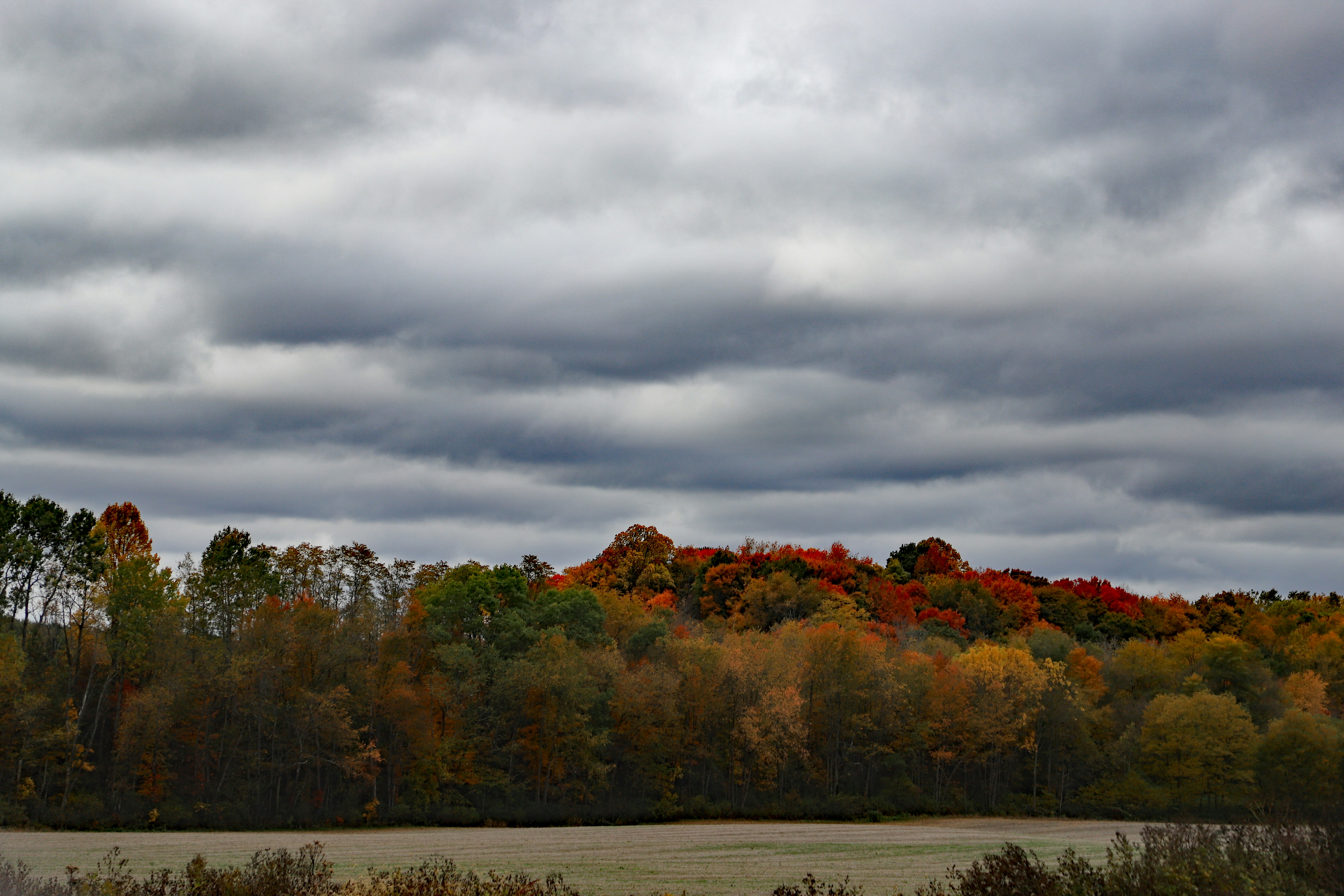 Photo by michaelbweidner