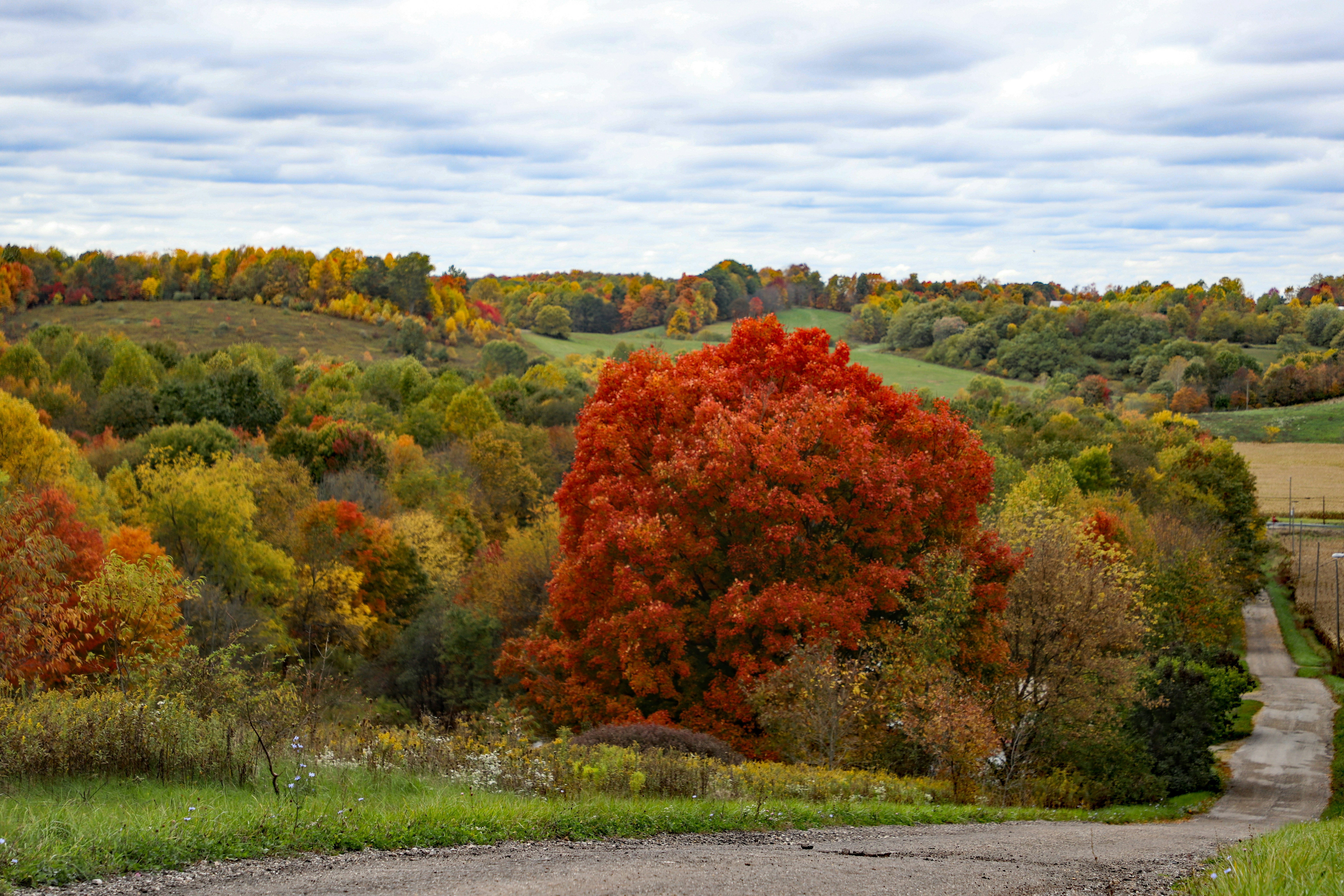 Photo by michaelbweidner