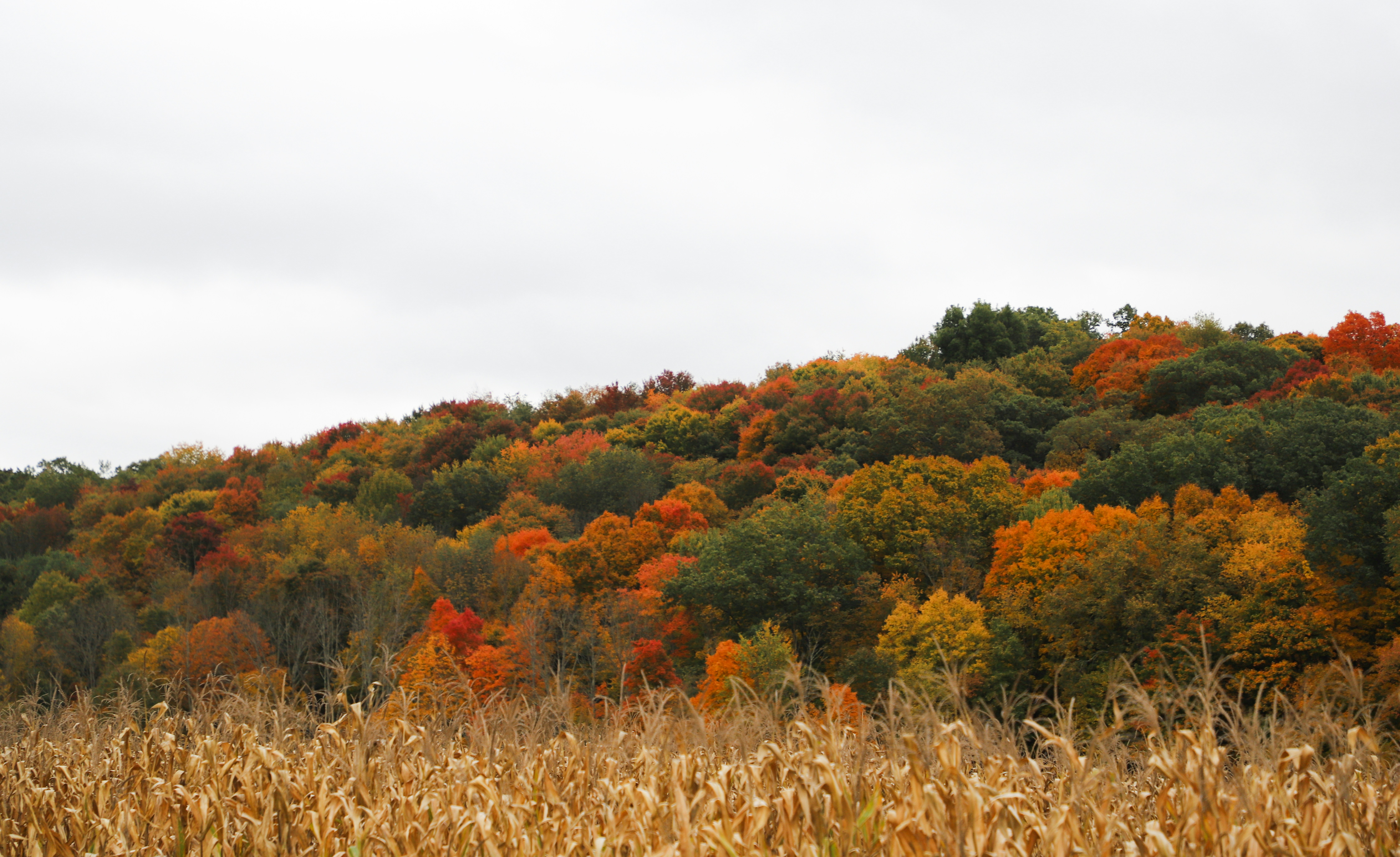 Photo by michaelbweidner