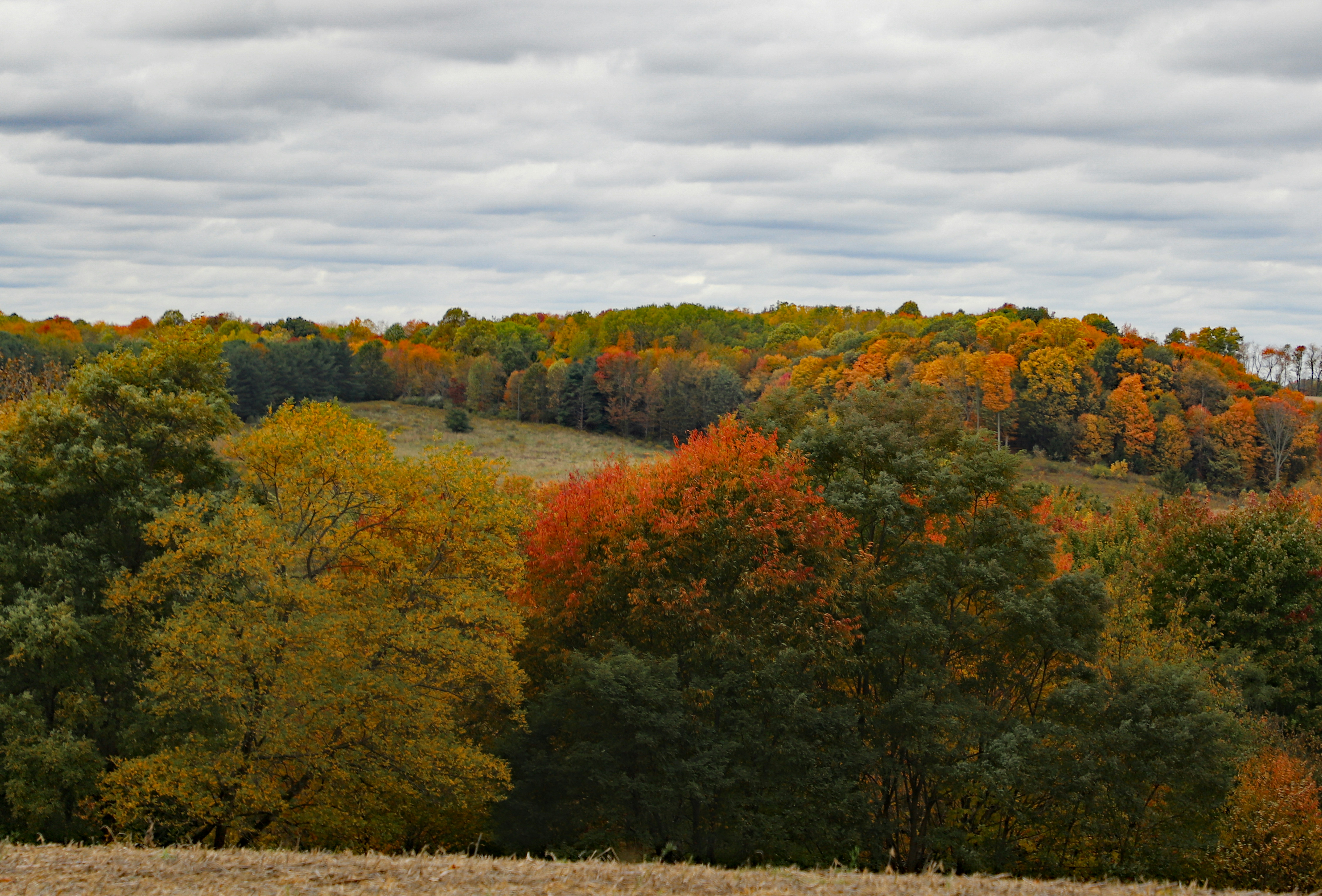 Photo by michaelbweidner