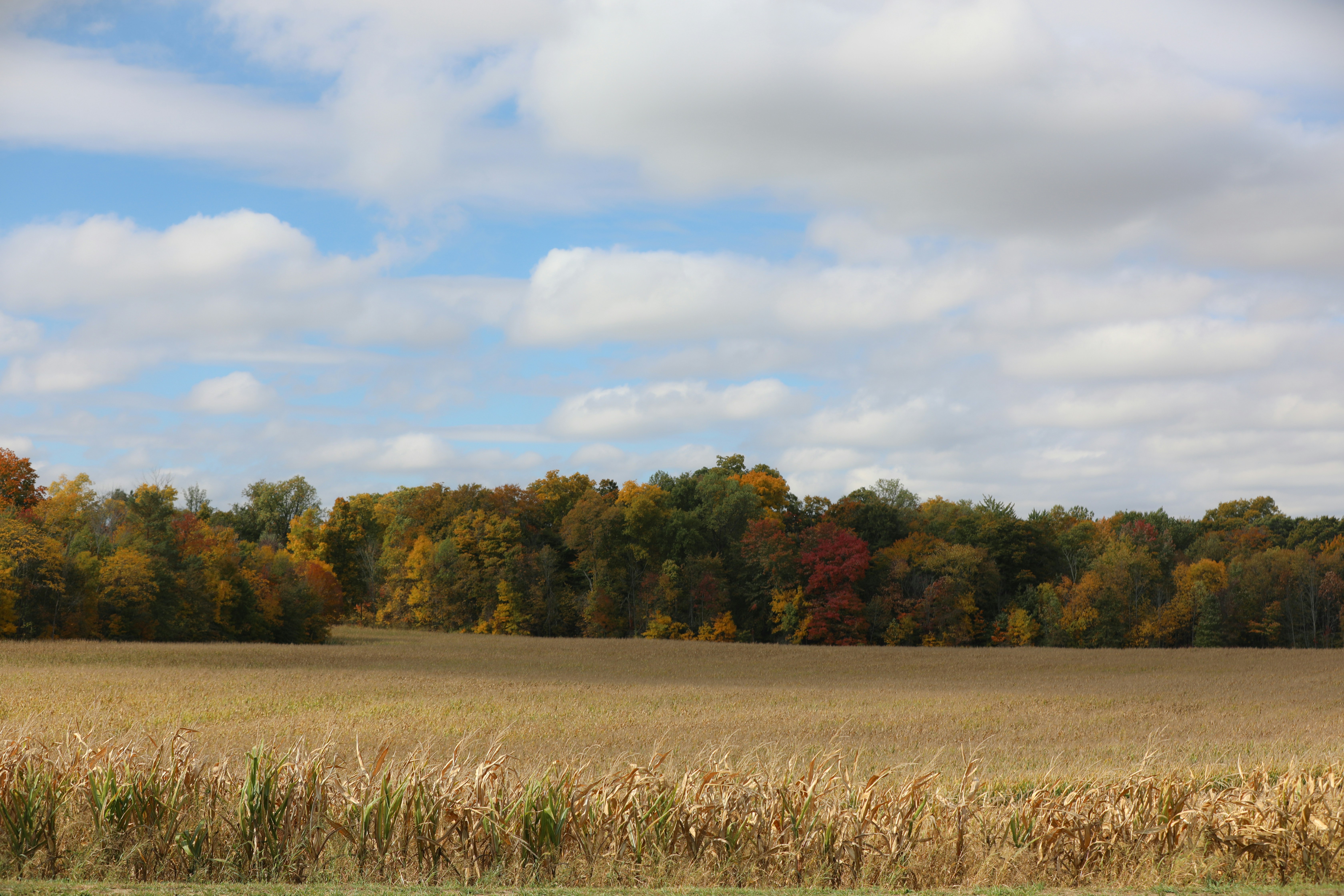 Photo by michaelbweidner