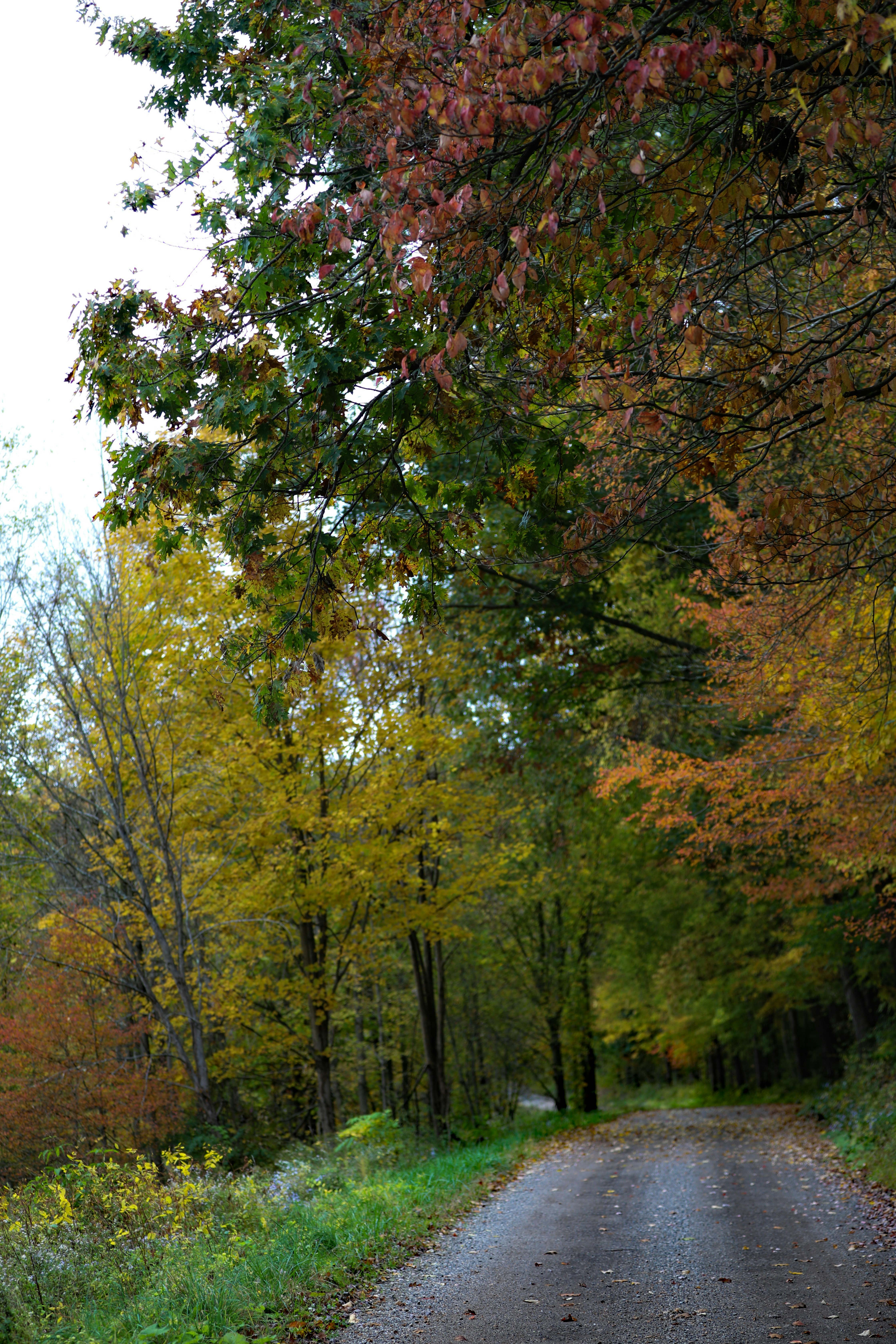 Photo by michaelbweidner