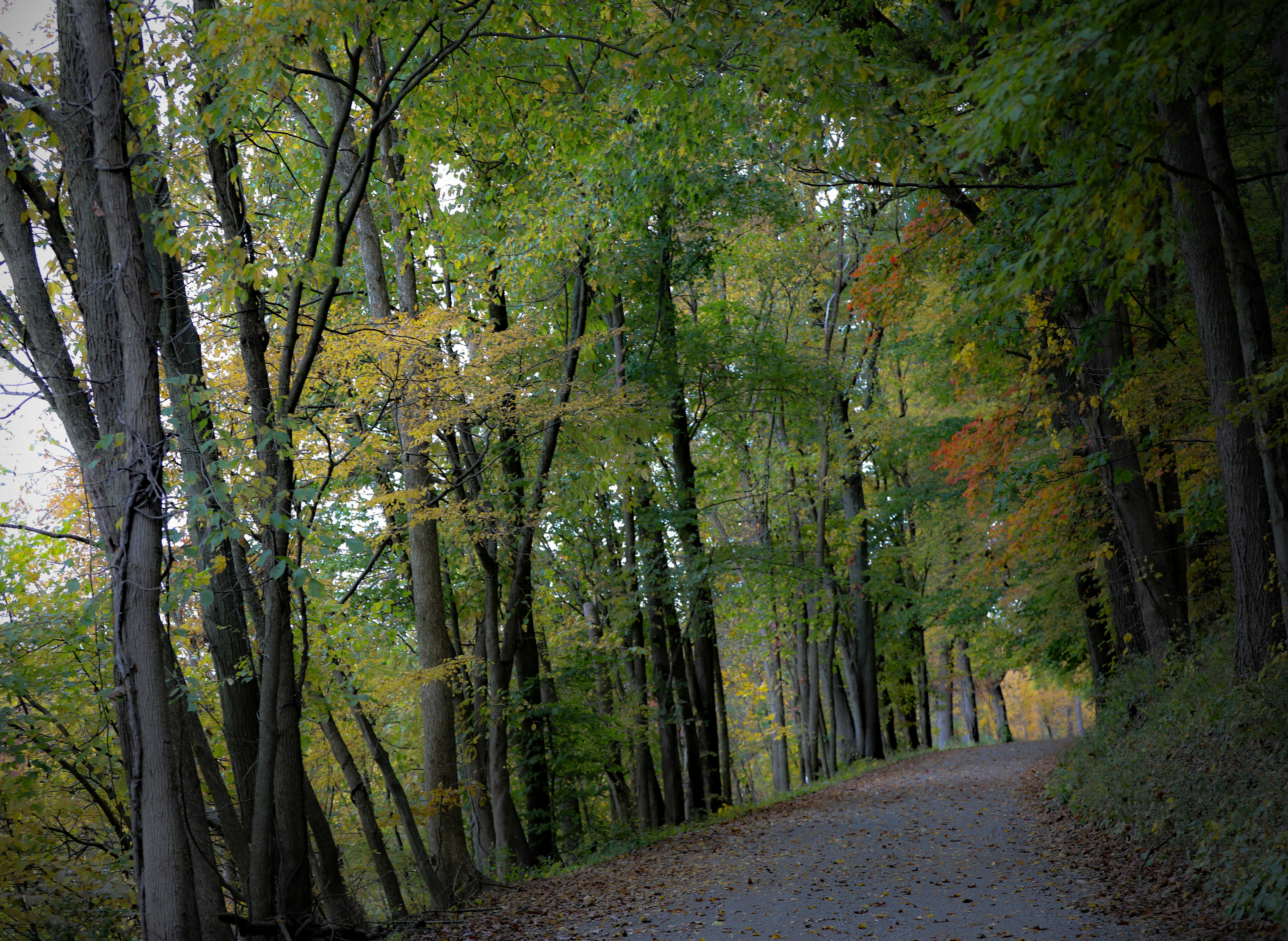 Photo by michaelbweidner