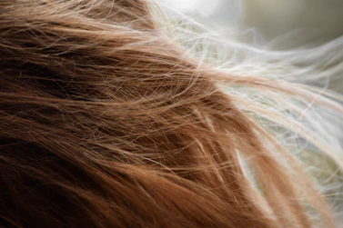 brown hair on white textile