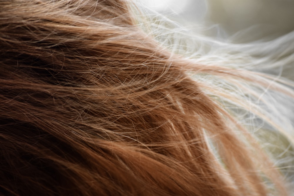 cabello castaño sobre textil blanco