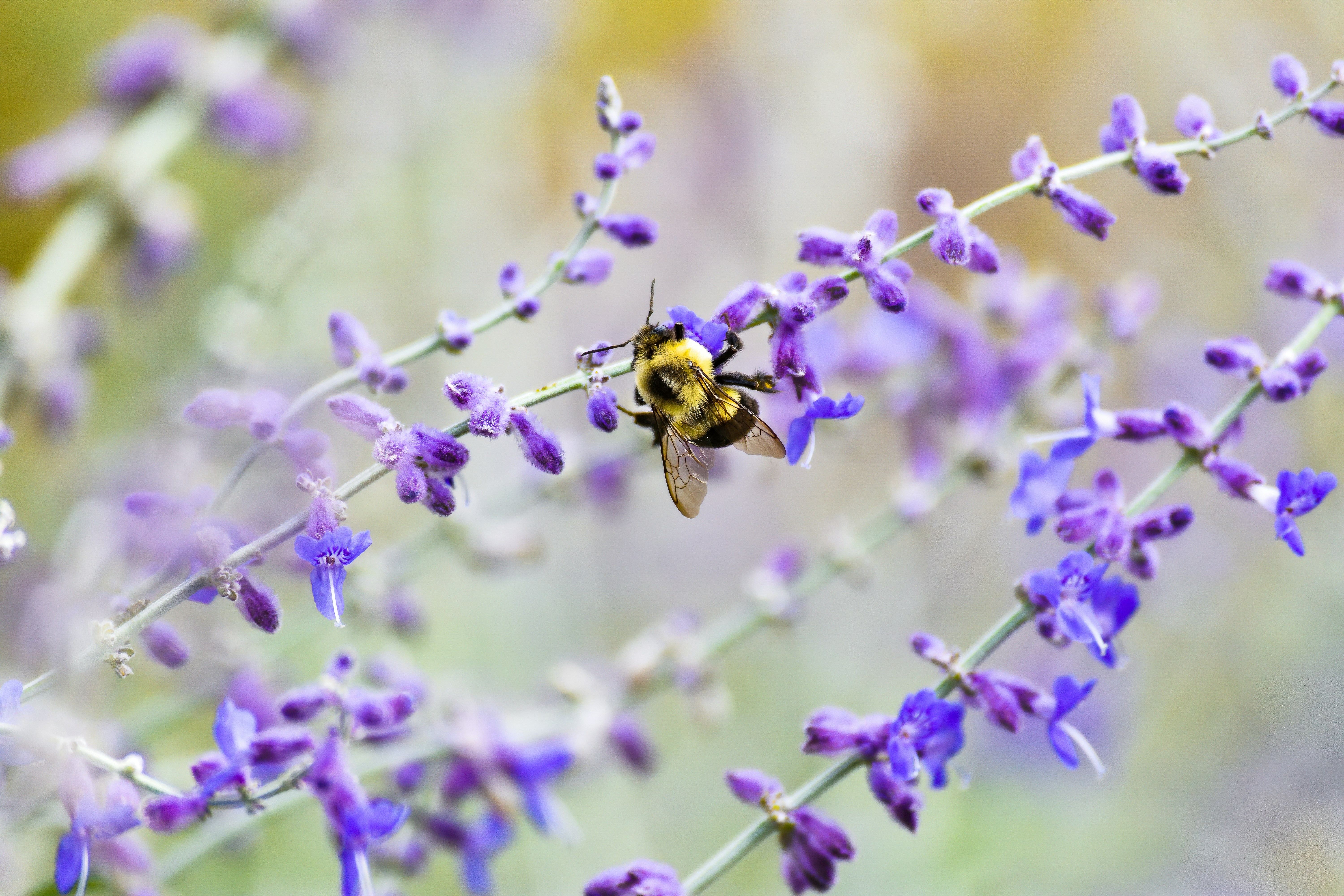 Photo by taylor_smith