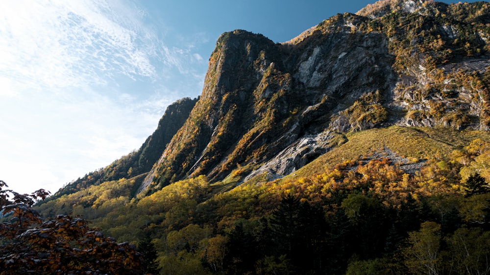 green and brown mountain under blue sky during daytime