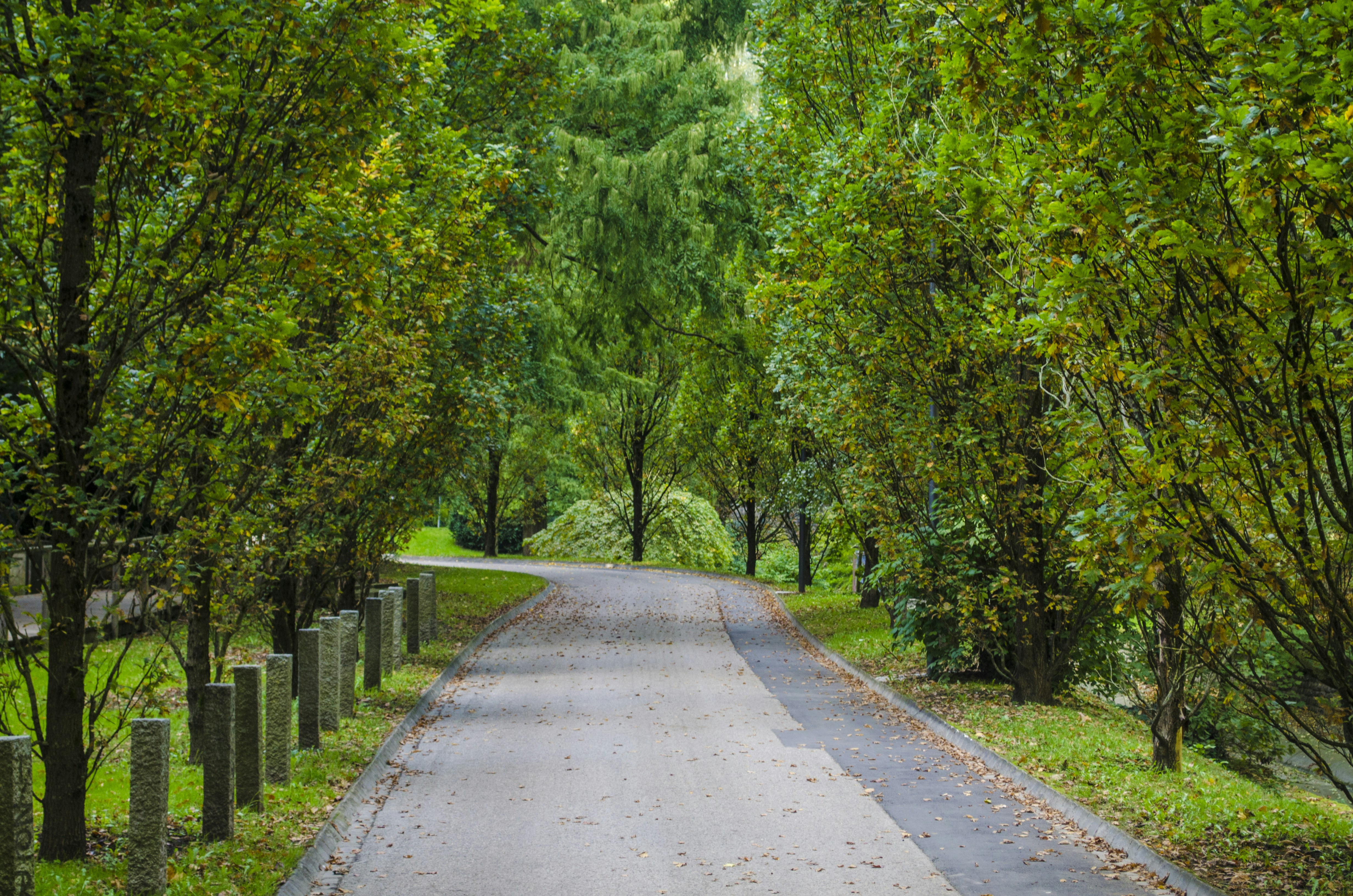 Photo by nazimcoskun
