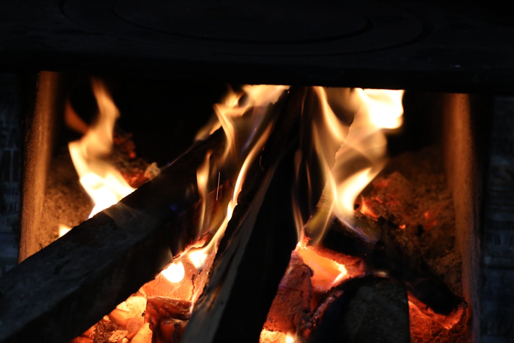 burning firewood on fire pit